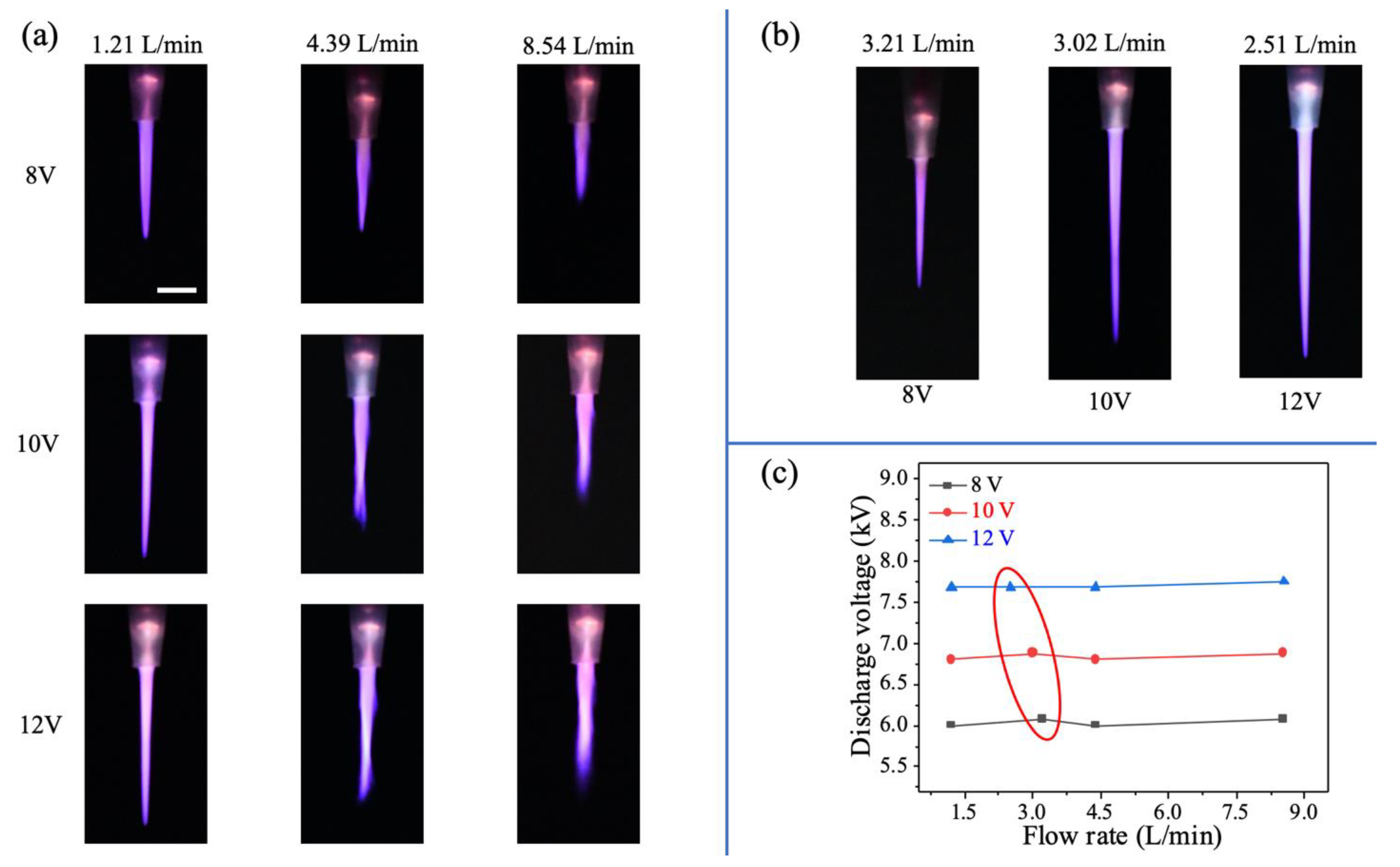 Processes 09 00249 g003