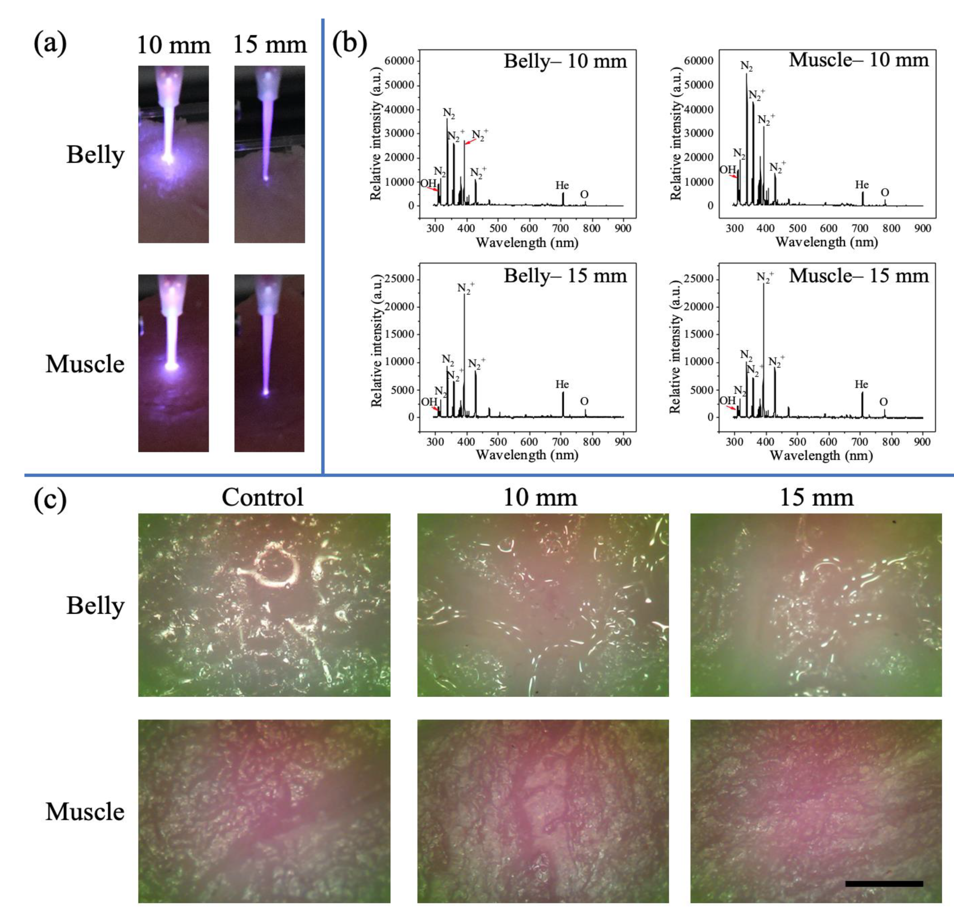 Processes 09 00249 g005