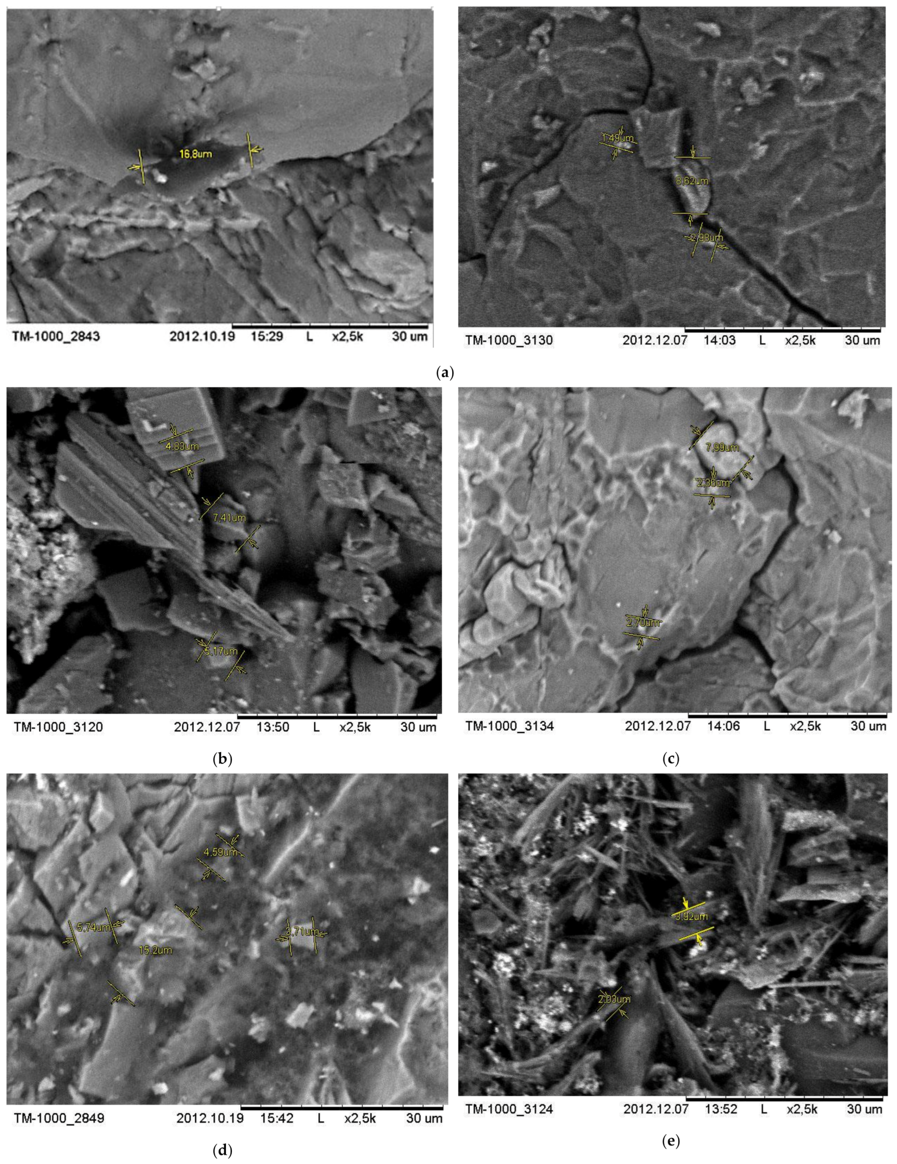 Processes 09 00256 g009