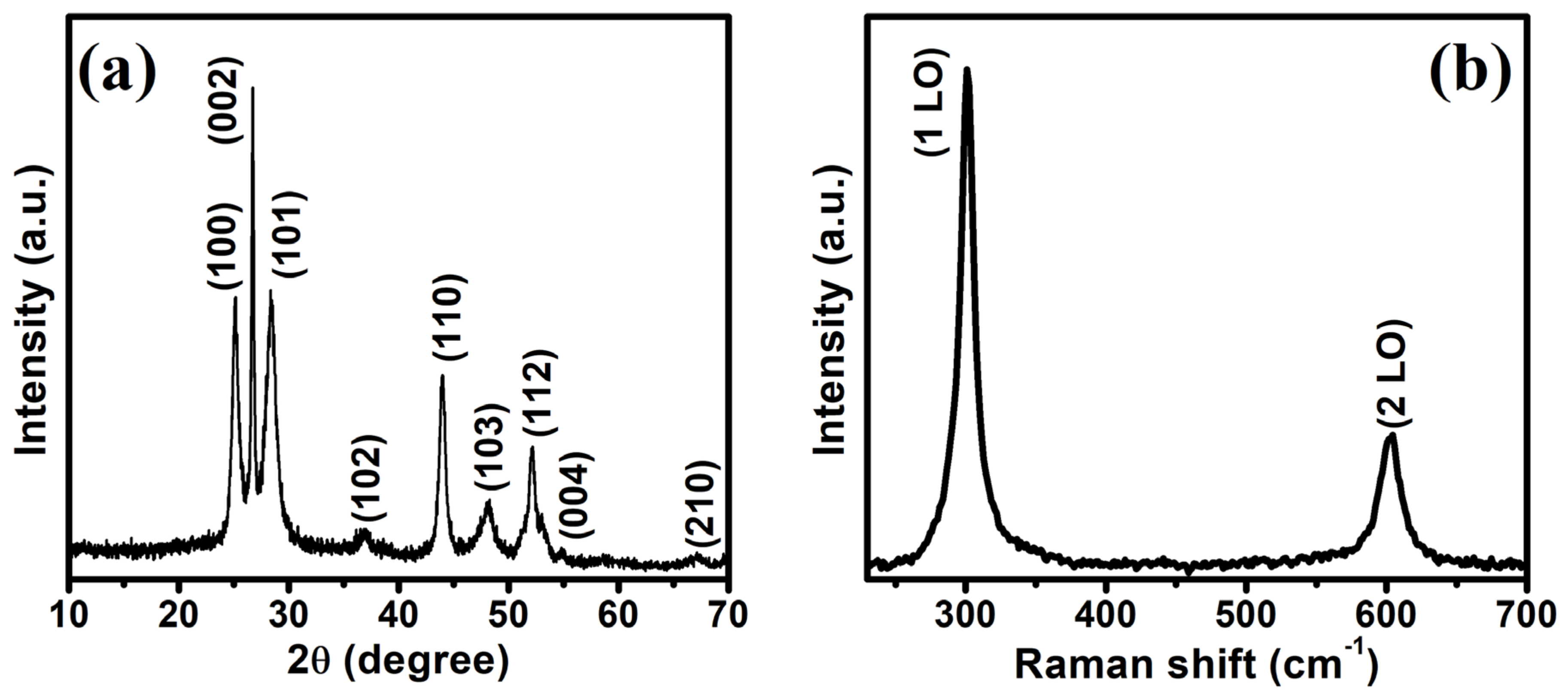 Processes 09 00263 g001