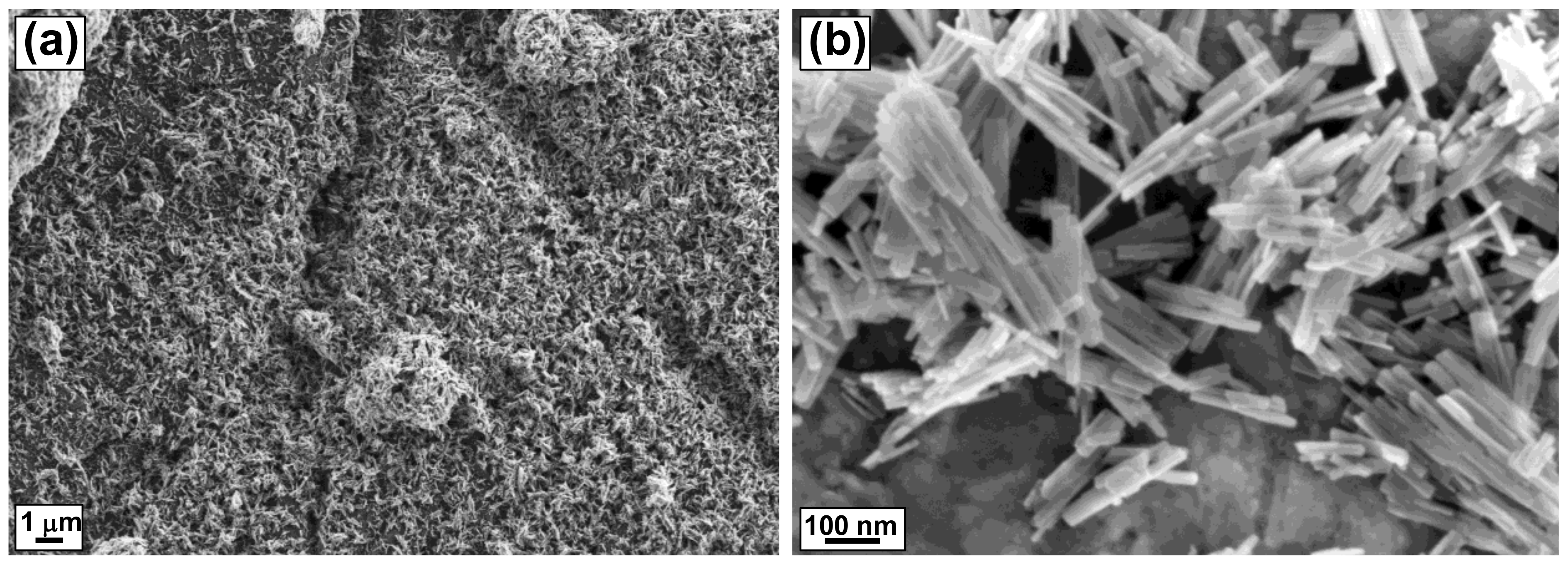 Processes 09 00263 g002