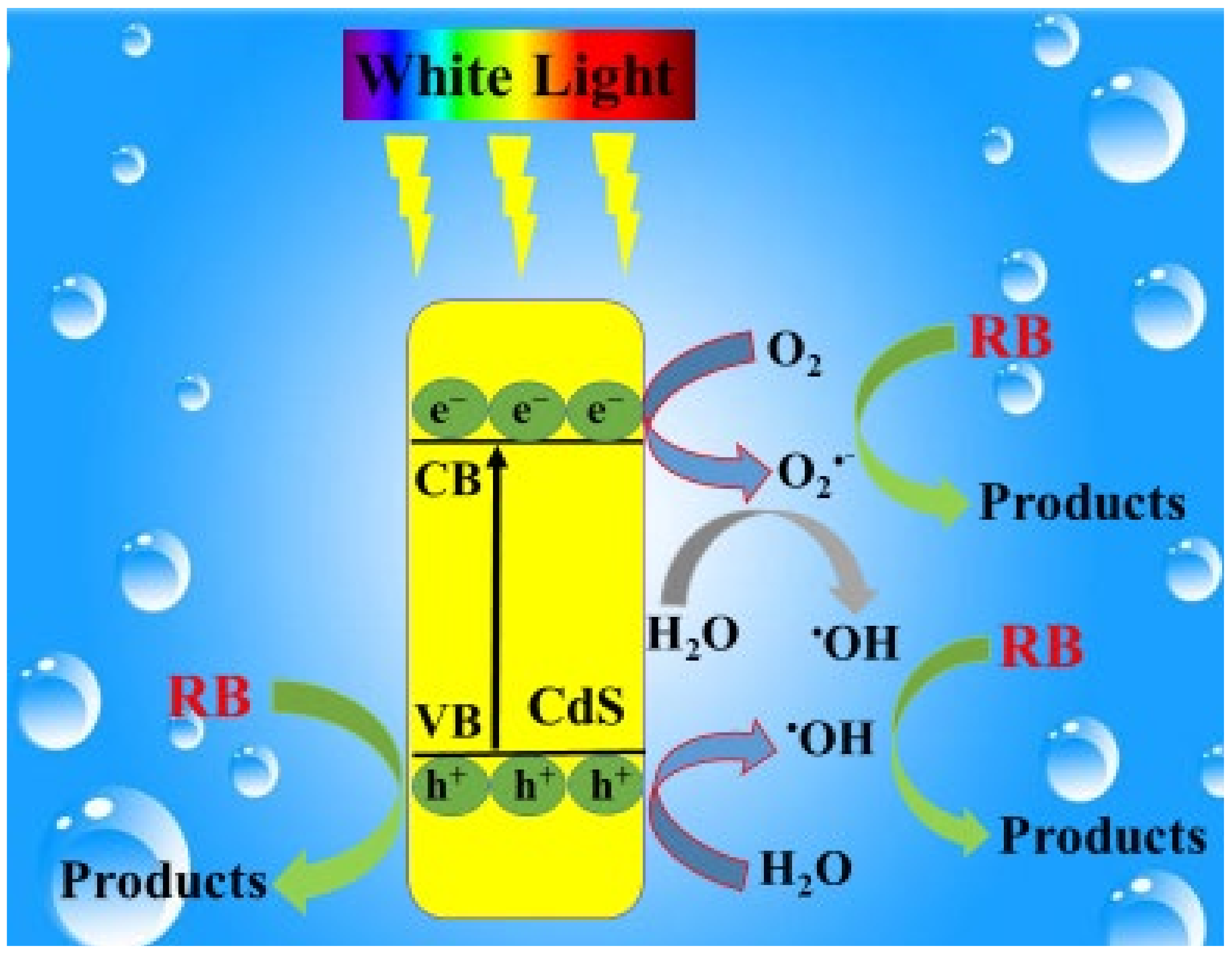 Processes 09 00263 g010