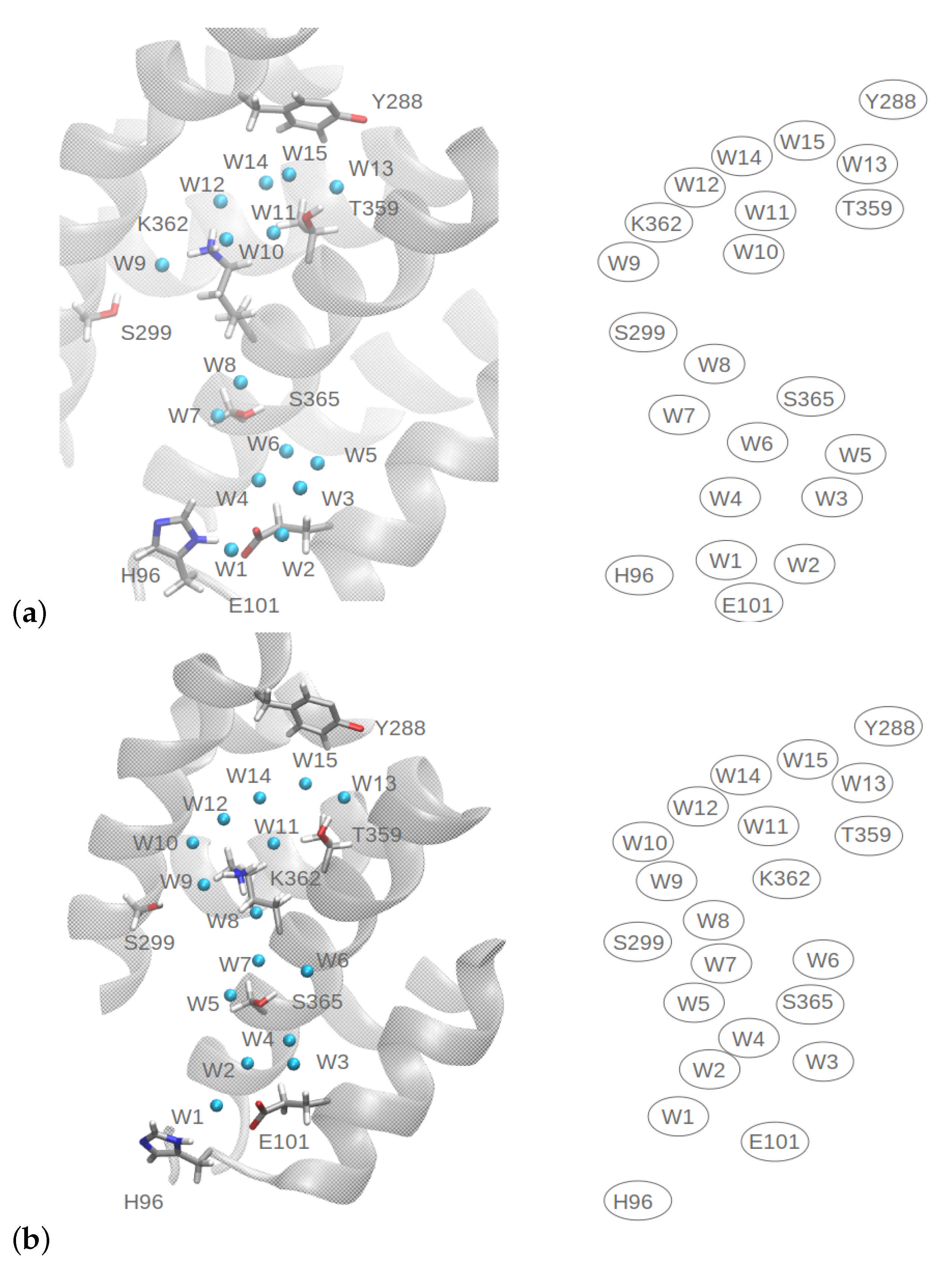 Processes 09 00265 g001