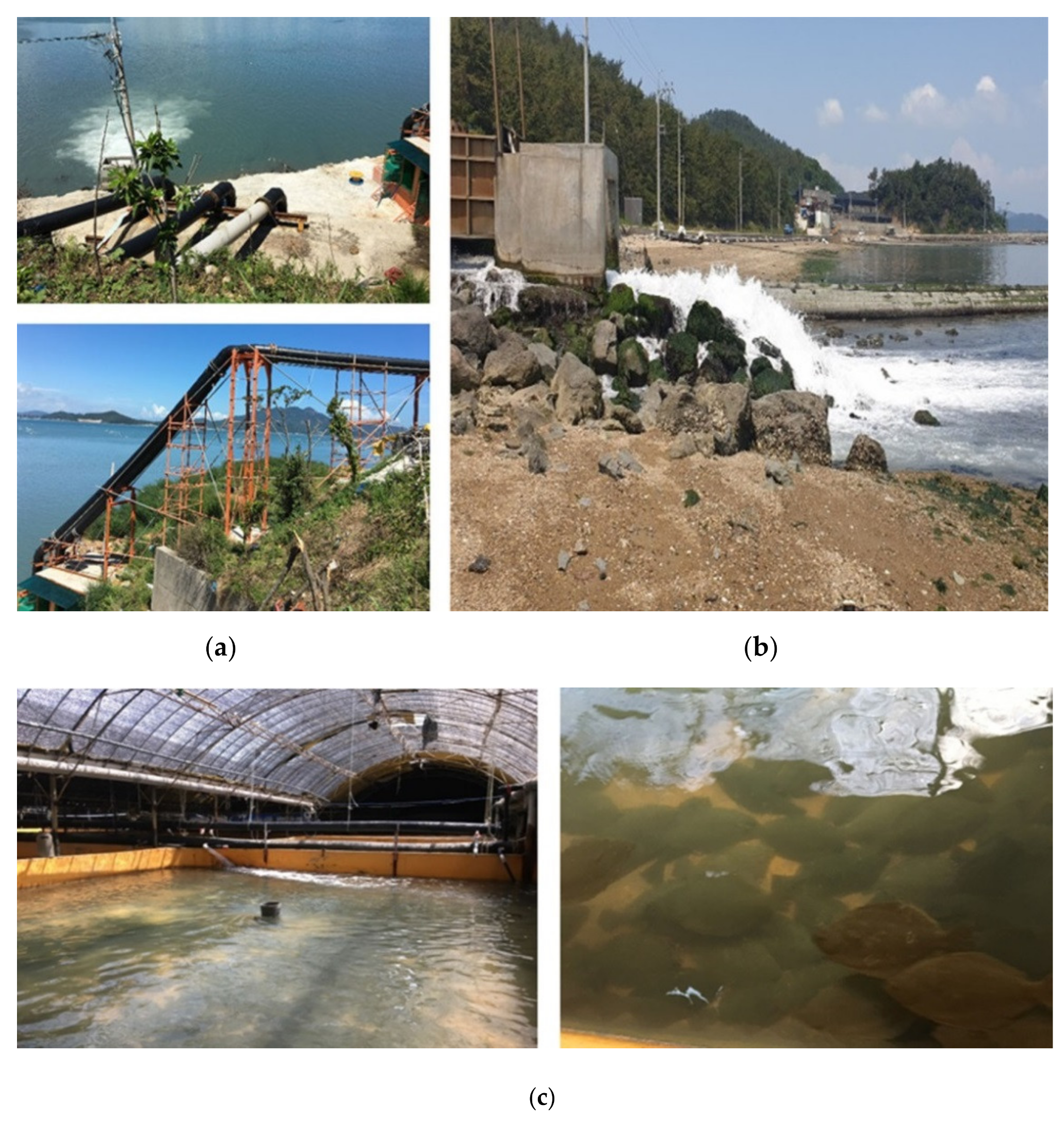 Processes 09 00266 g001