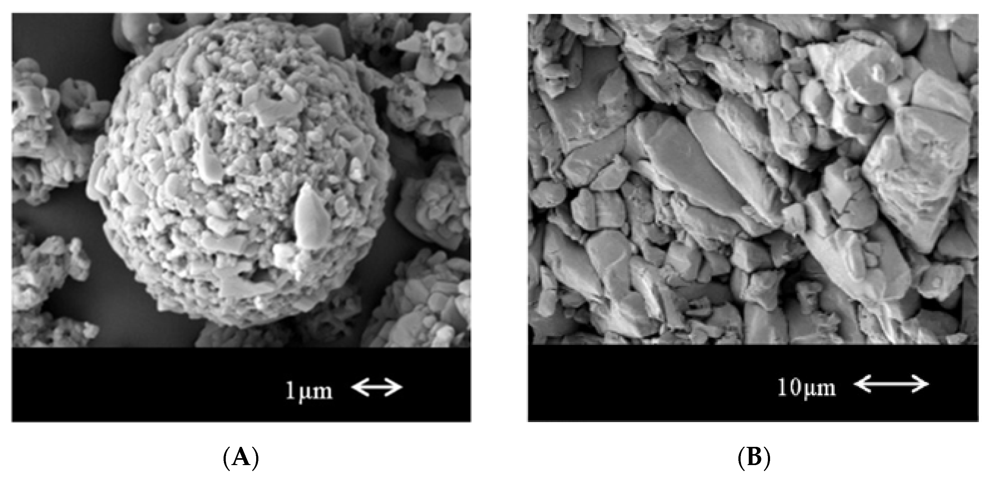 Processes 09 00267 g004