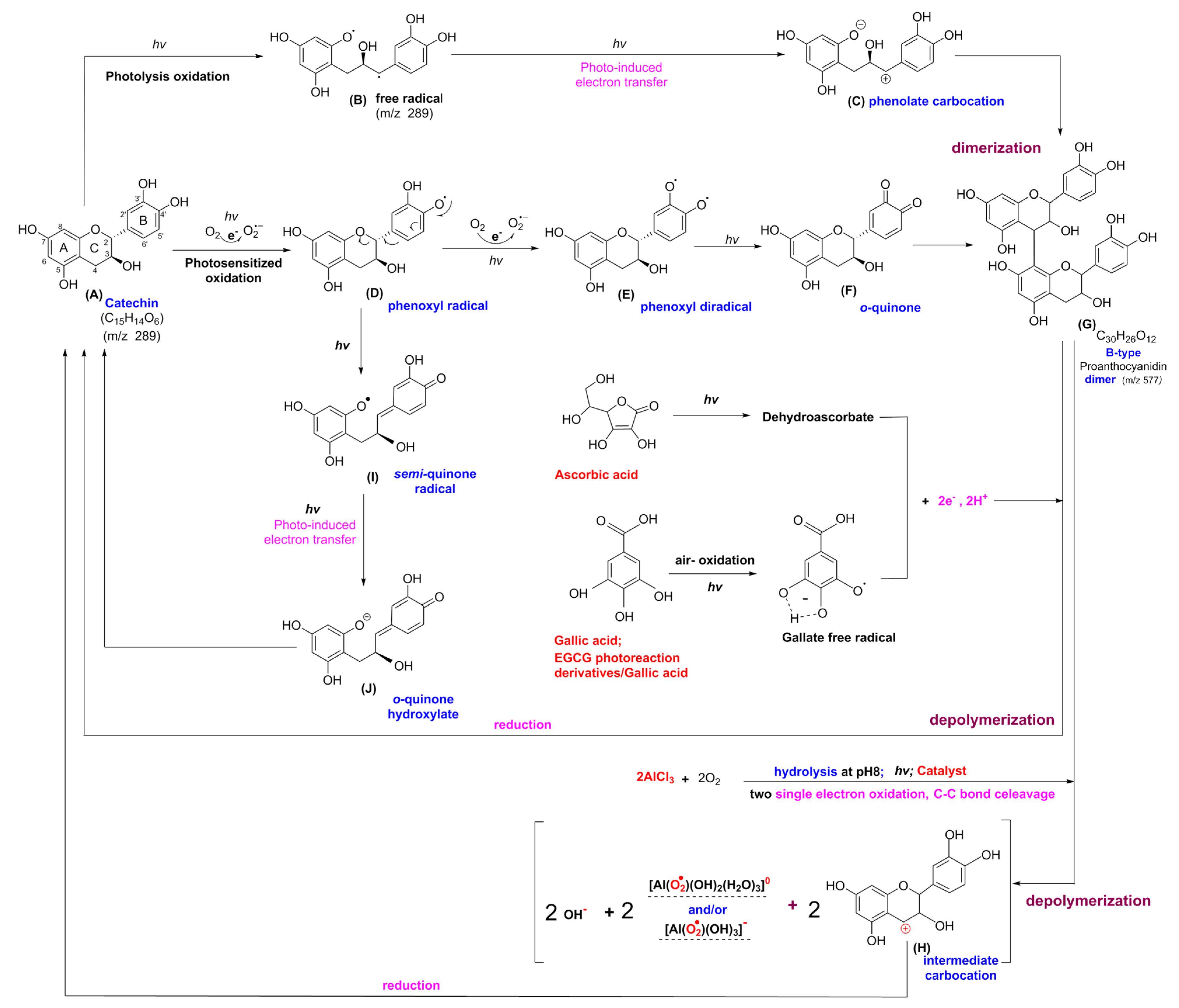 Processes 09 00293 g002