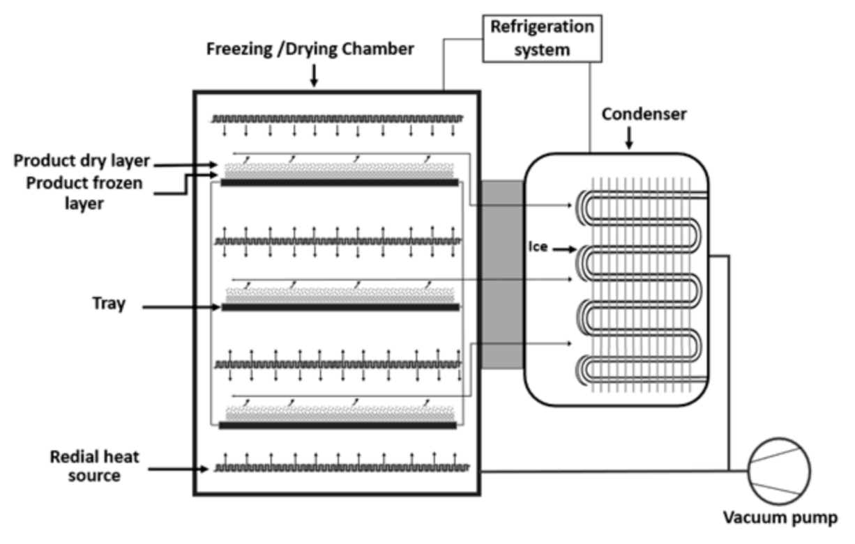 Processes 09 00295 g004