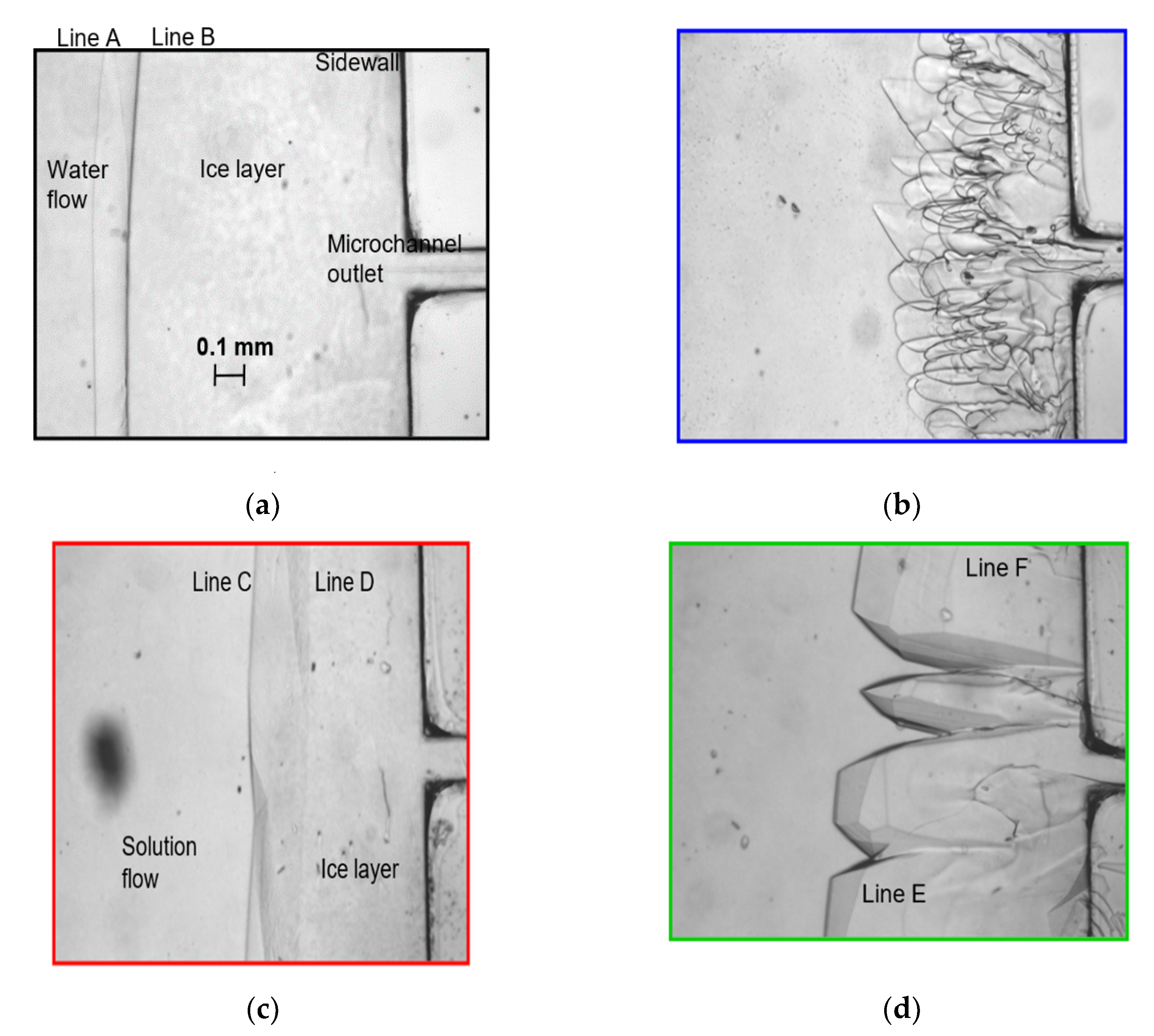 Processes 09 00306 g004