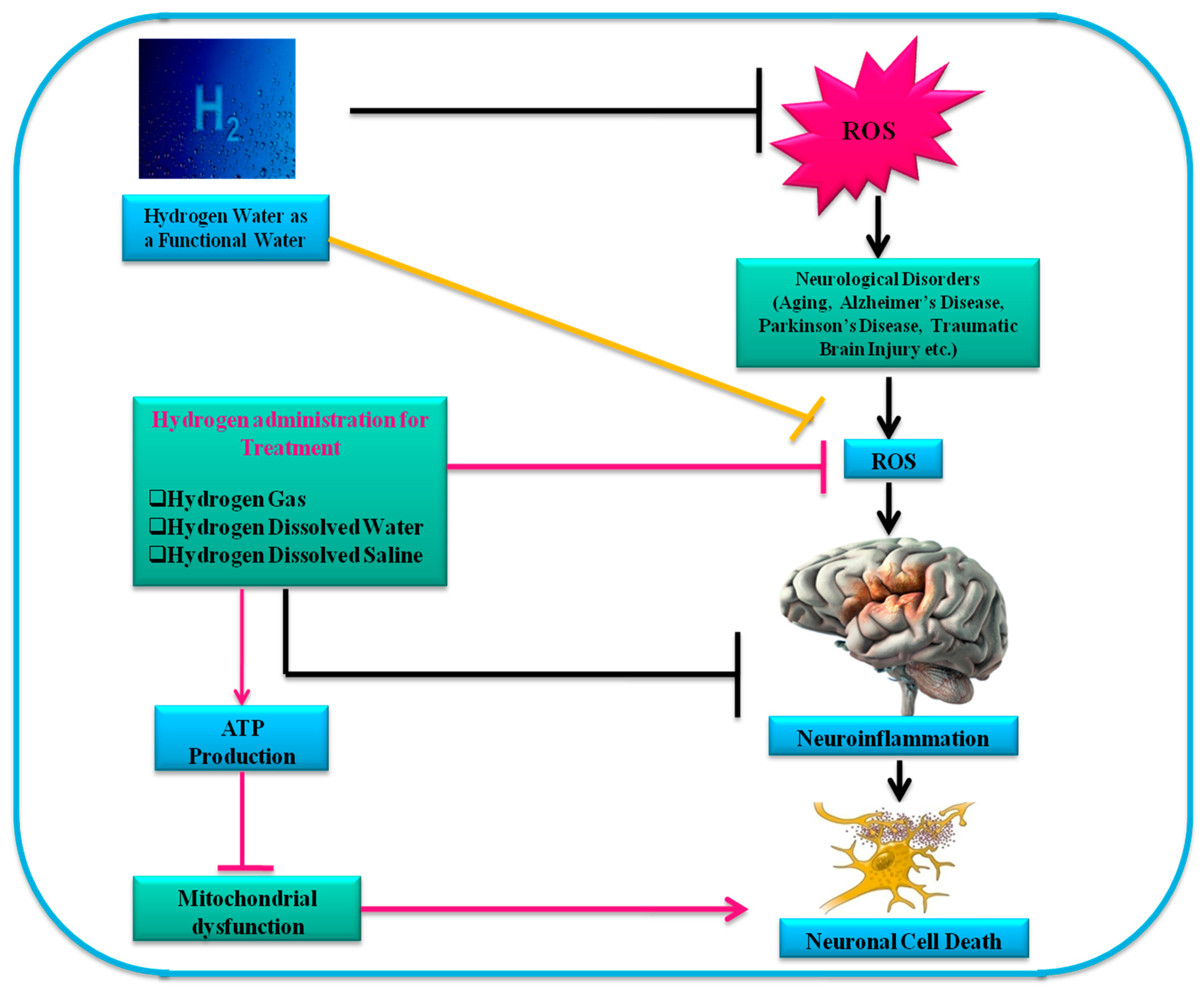 Processes 09 00308 g001