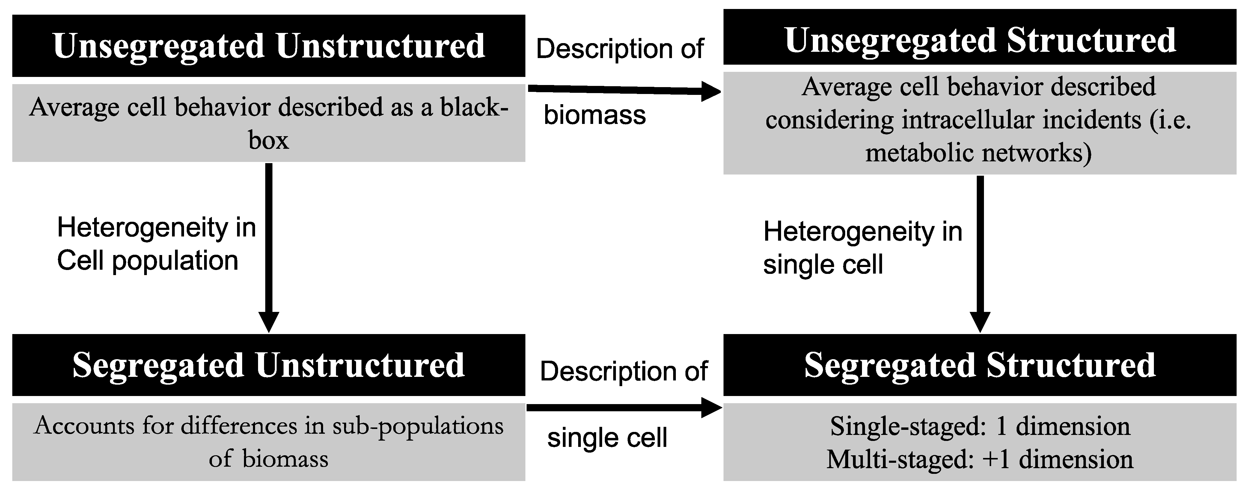 Processes 09 00322 g001