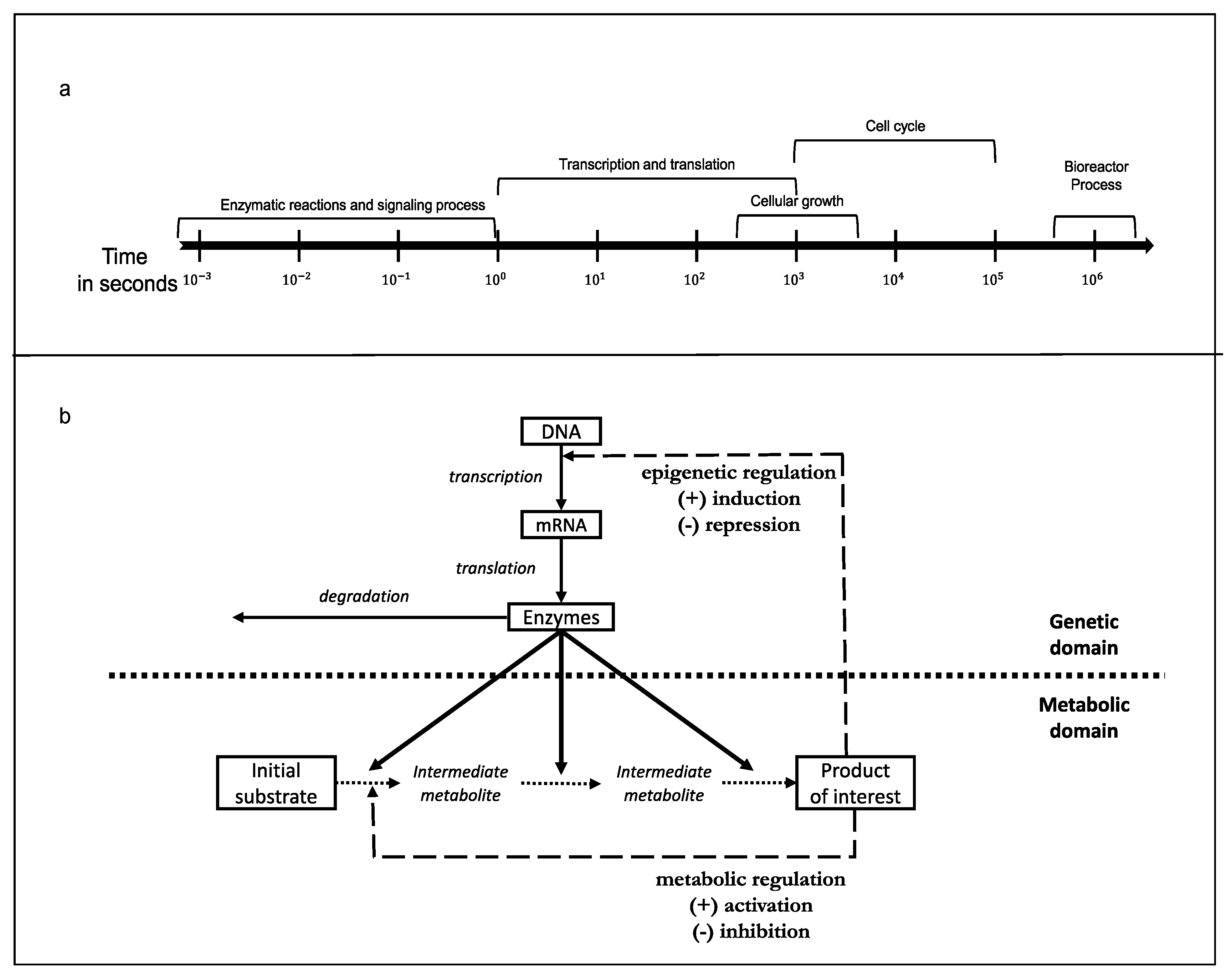 Processes 09 00322 g006