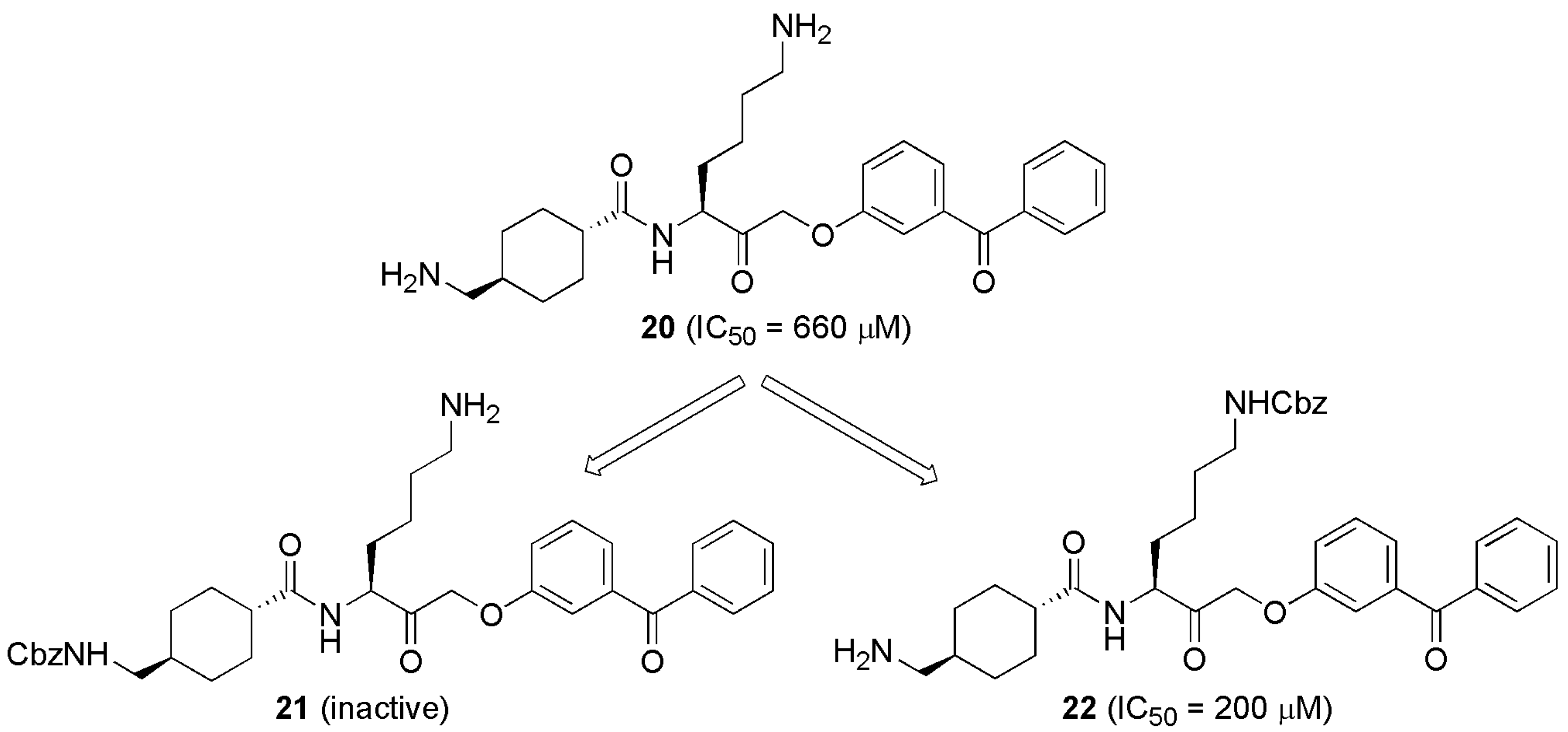 Processes 09 00329 g001