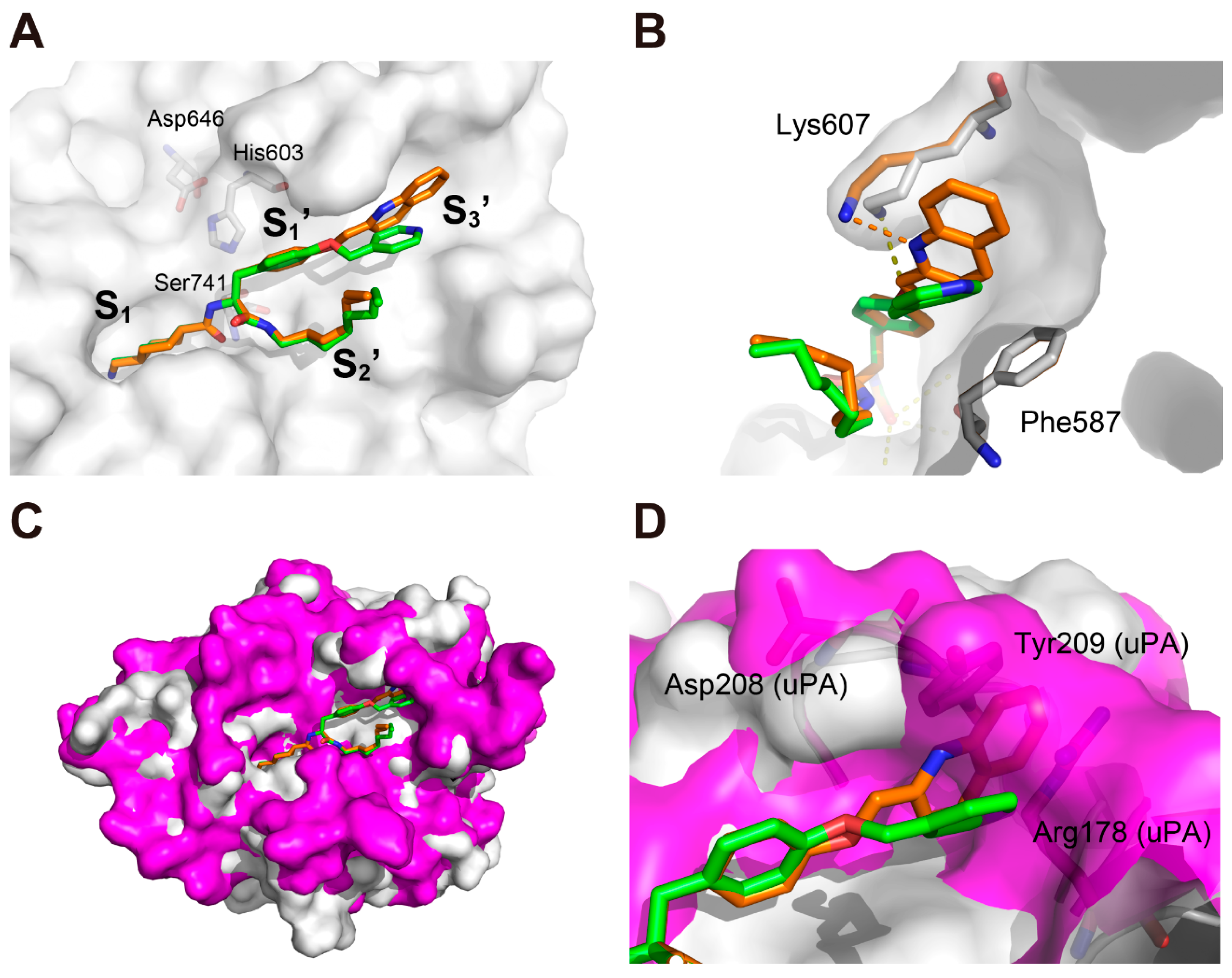Processes 09 00329 g002