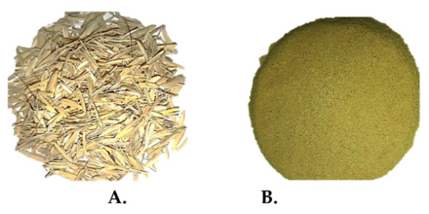 Processes 09 00334 g001