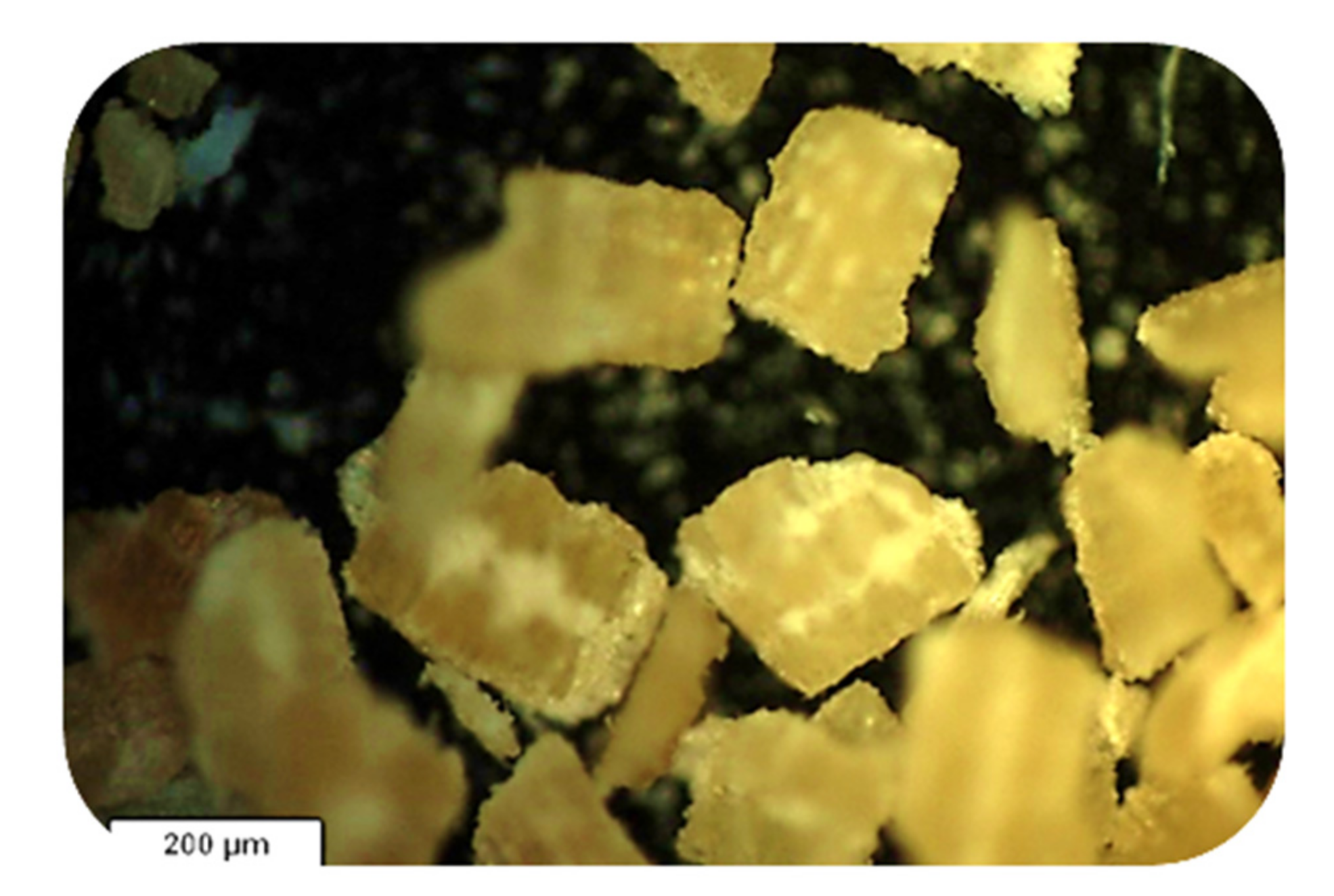 Processes 09 00334 g002