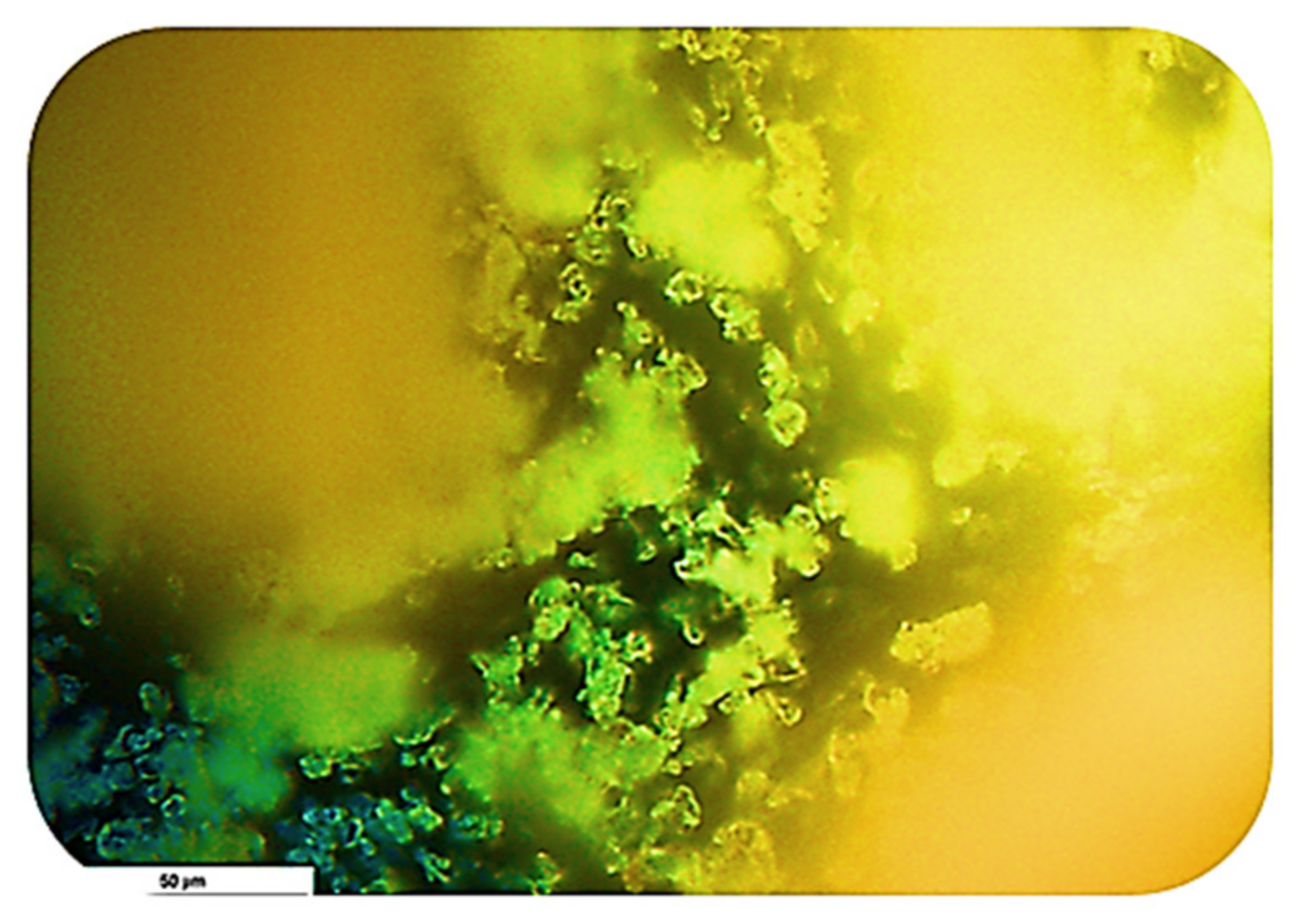 Processes 09 00334 g003