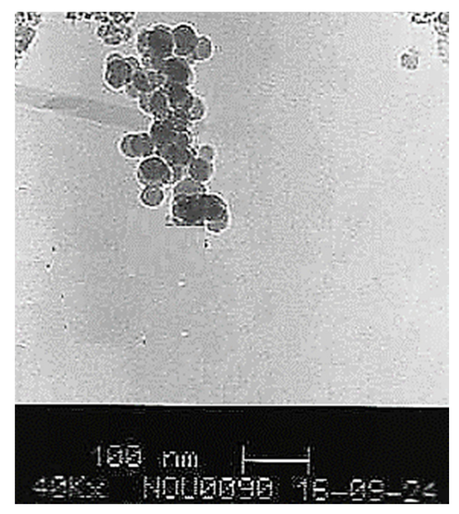Processes 09 00334 g007