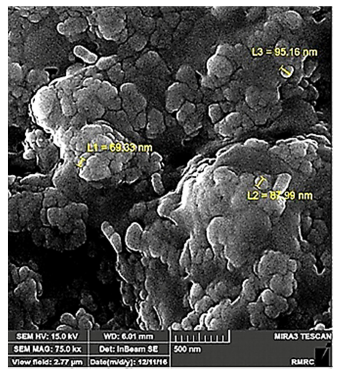 Processes 09 00334 g008