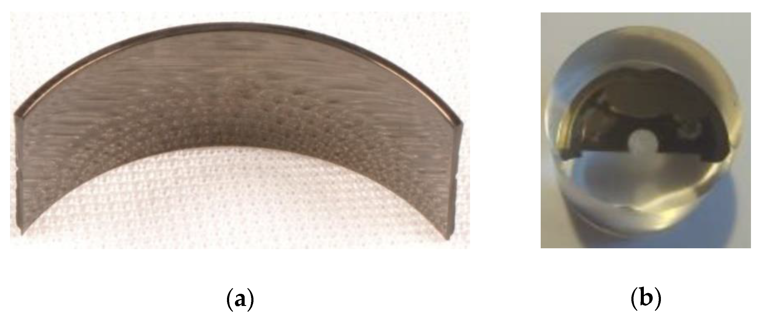 Processes 09 00338 g001