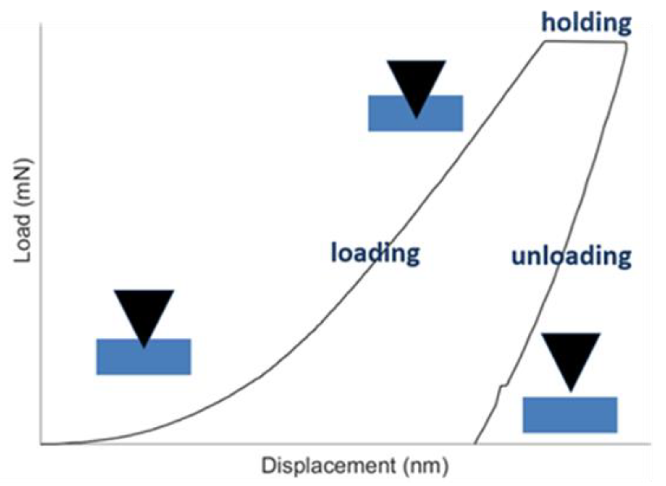 Processes 09 00338 g004