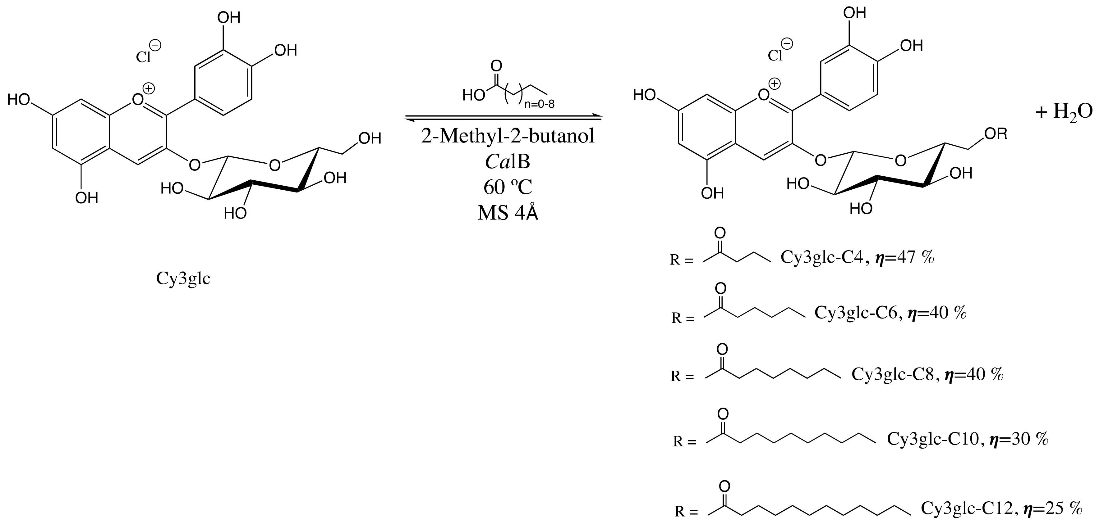 Processes 09 00340 sch001