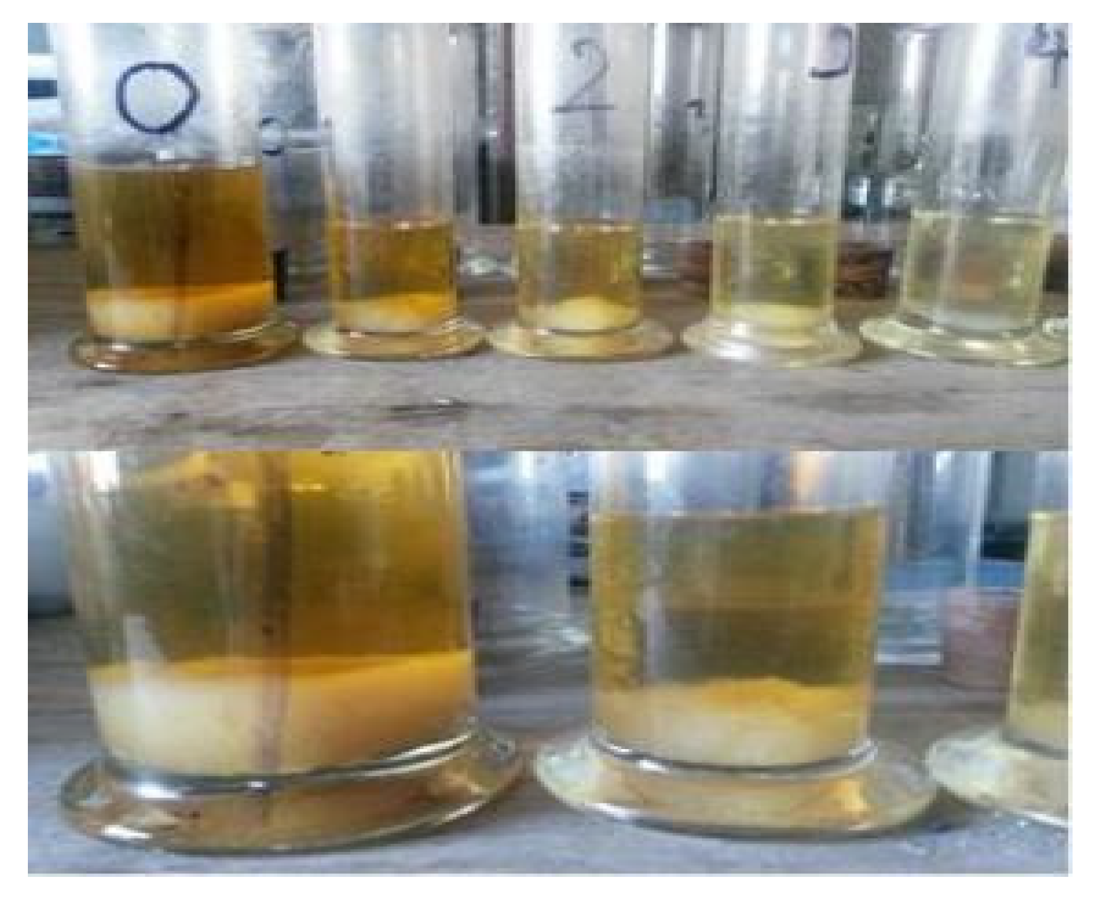 Processes 09 00343 g002