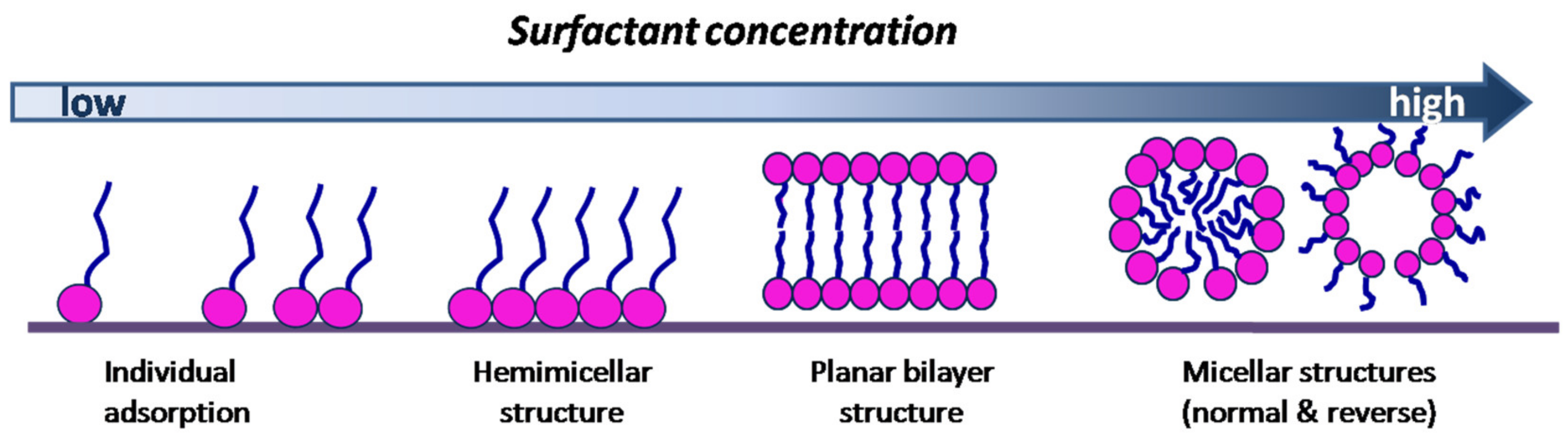 Processes 09 00345 g001