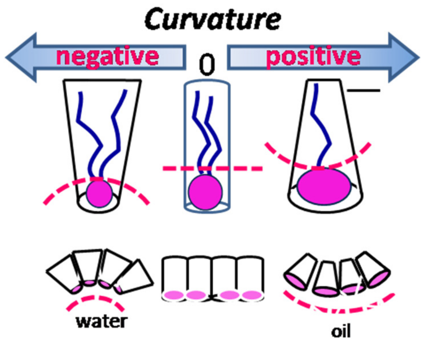 Processes 09 00345 g002