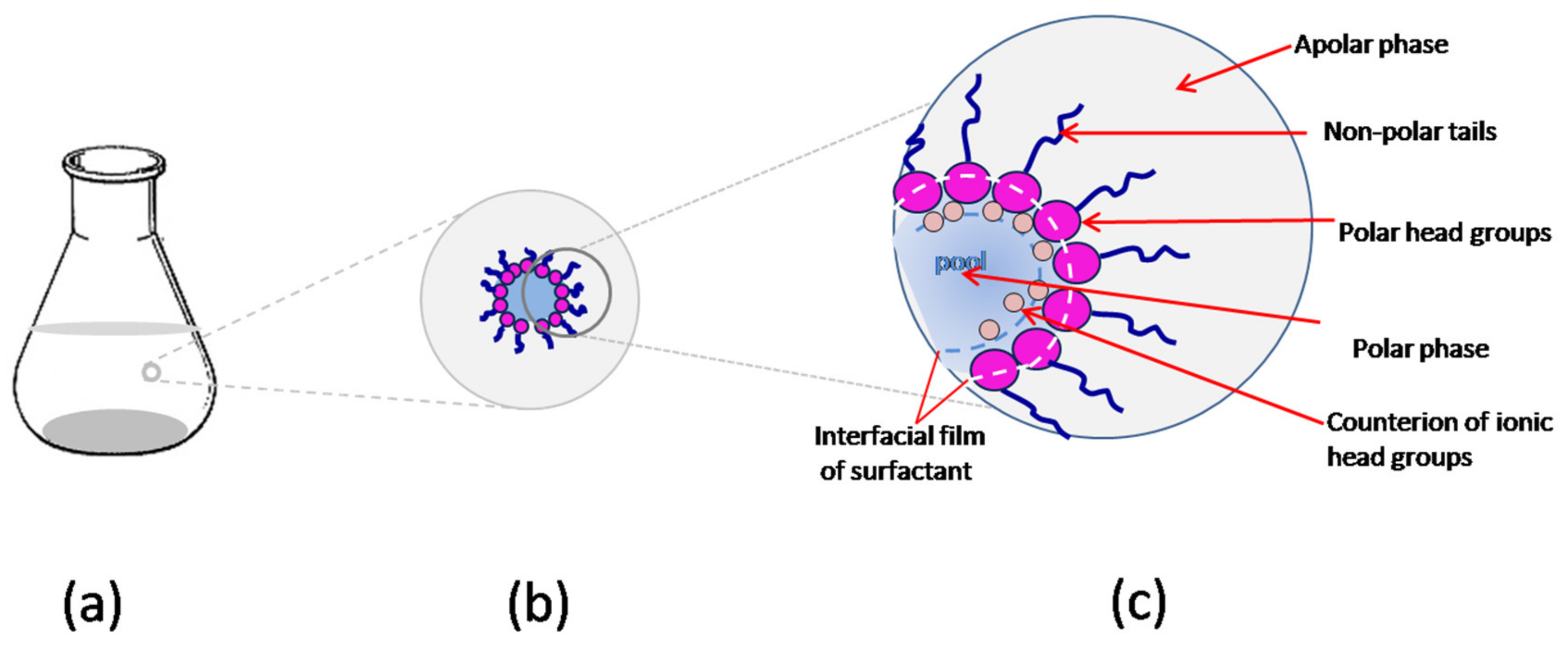 Processes 09 00345 g005