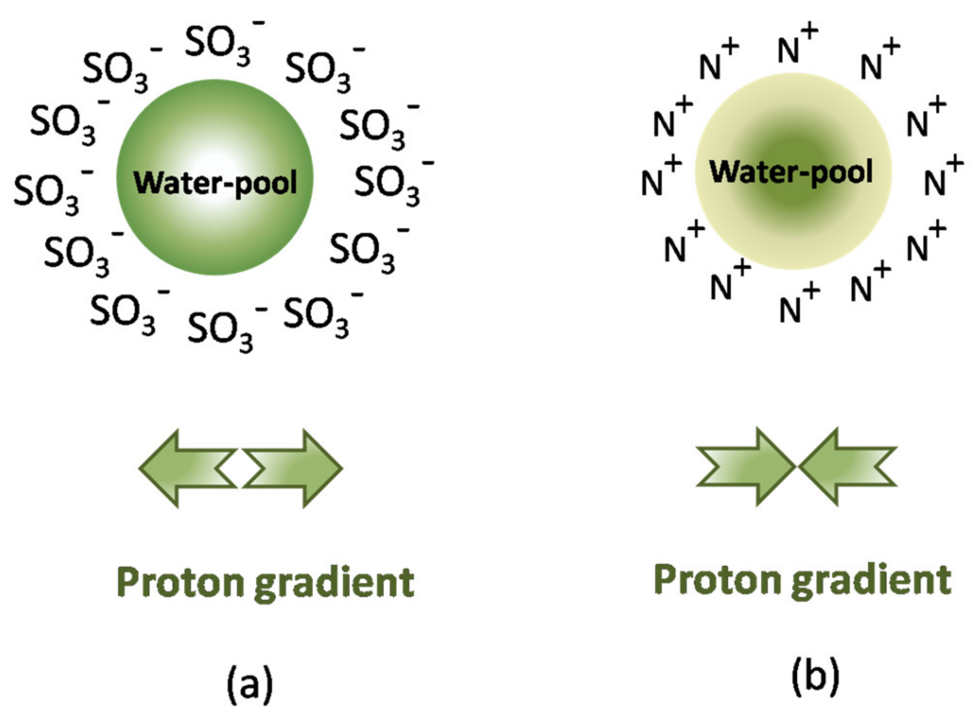 Processes 09 00345 g007