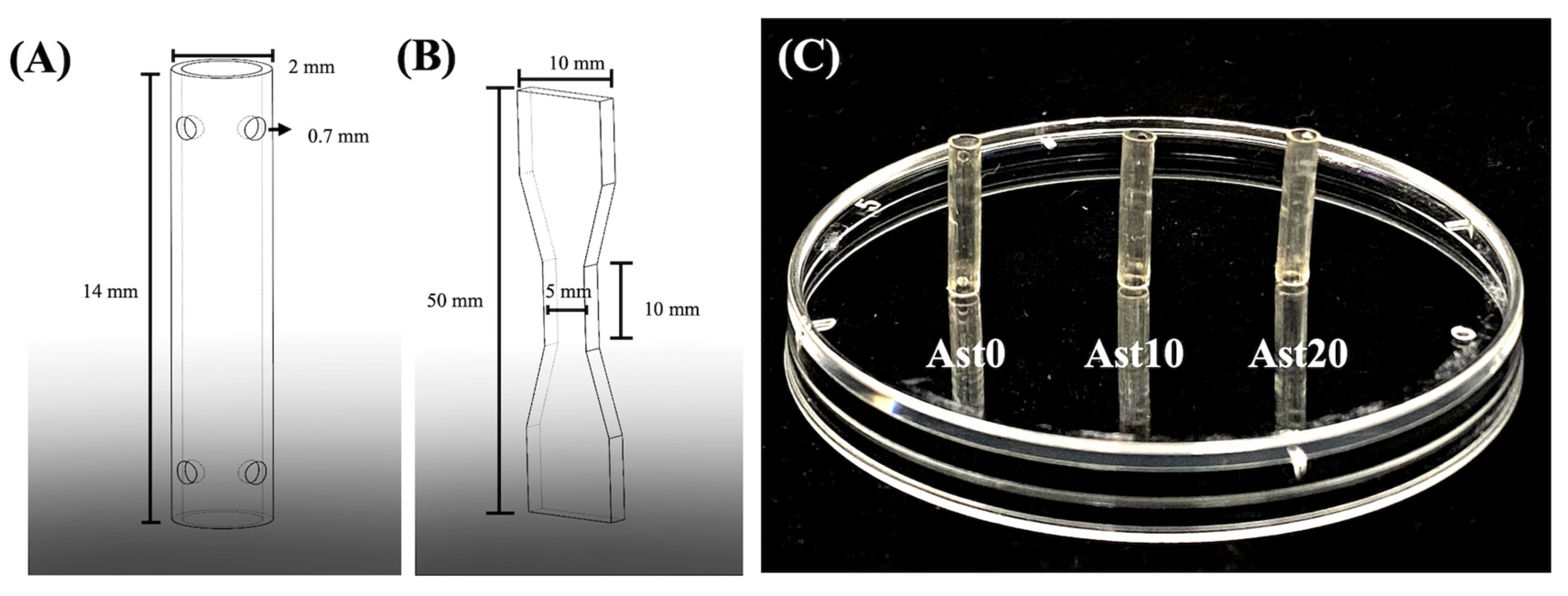 Processes 09 00353 g001