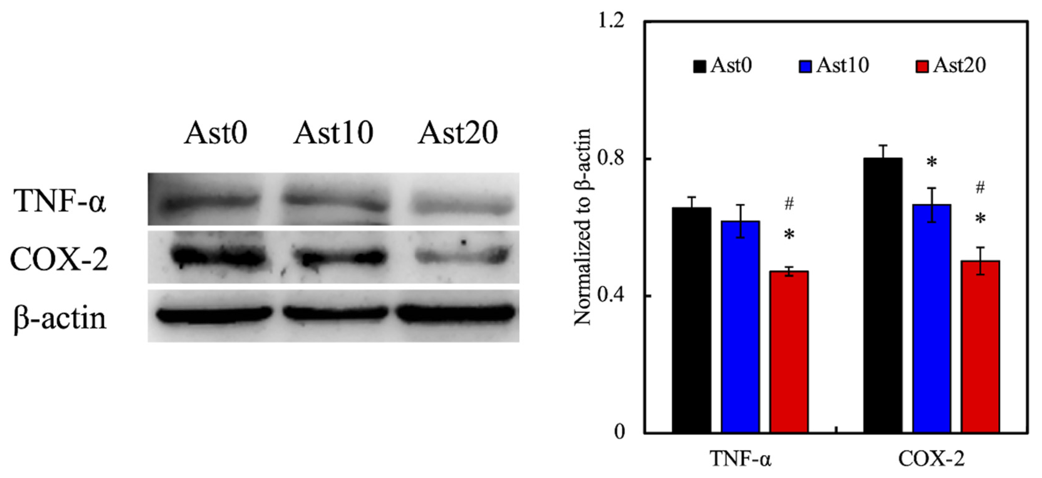 Processes 09 00353 g007