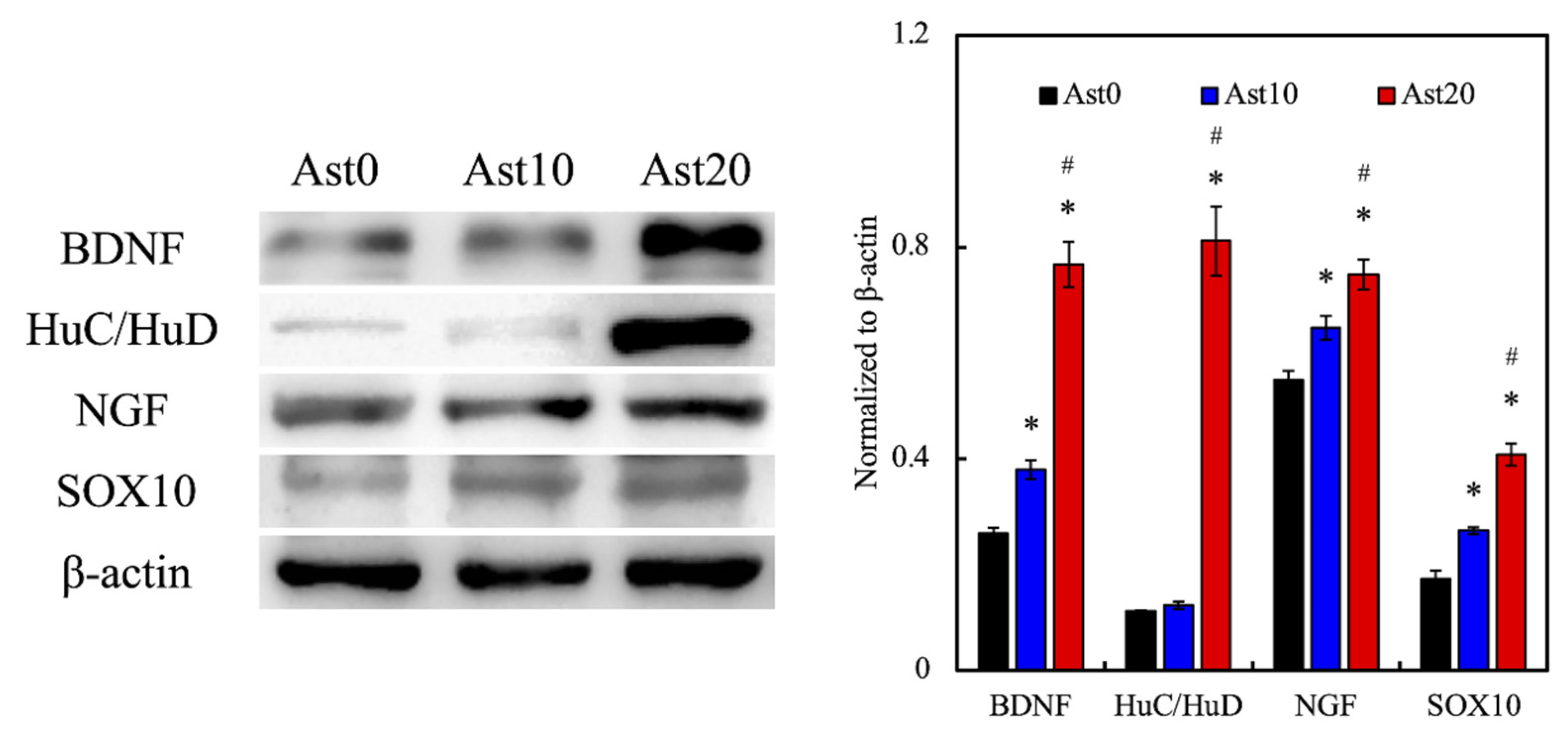 Processes 09 00353 g008