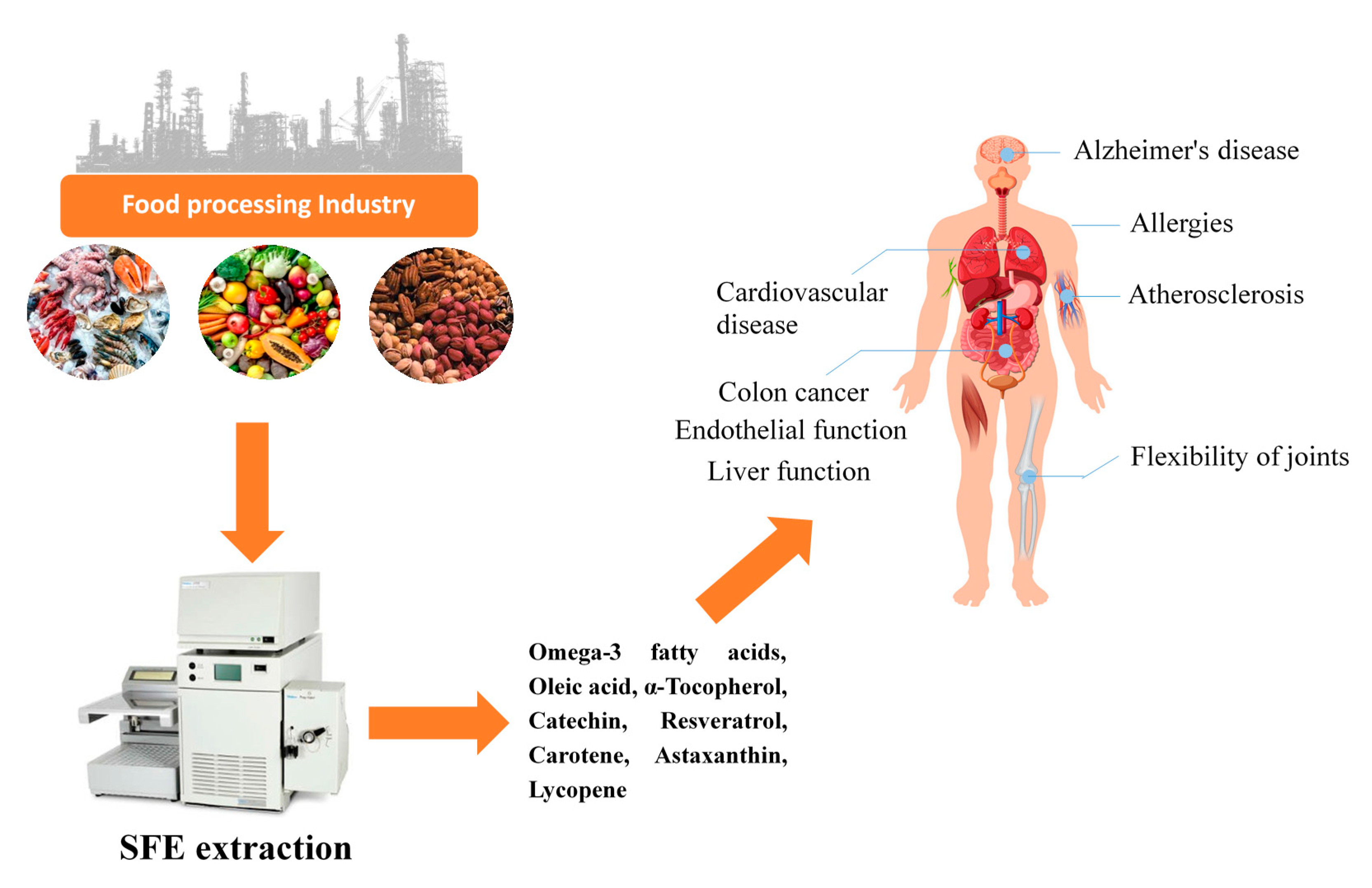 Processes 09 00357 g001