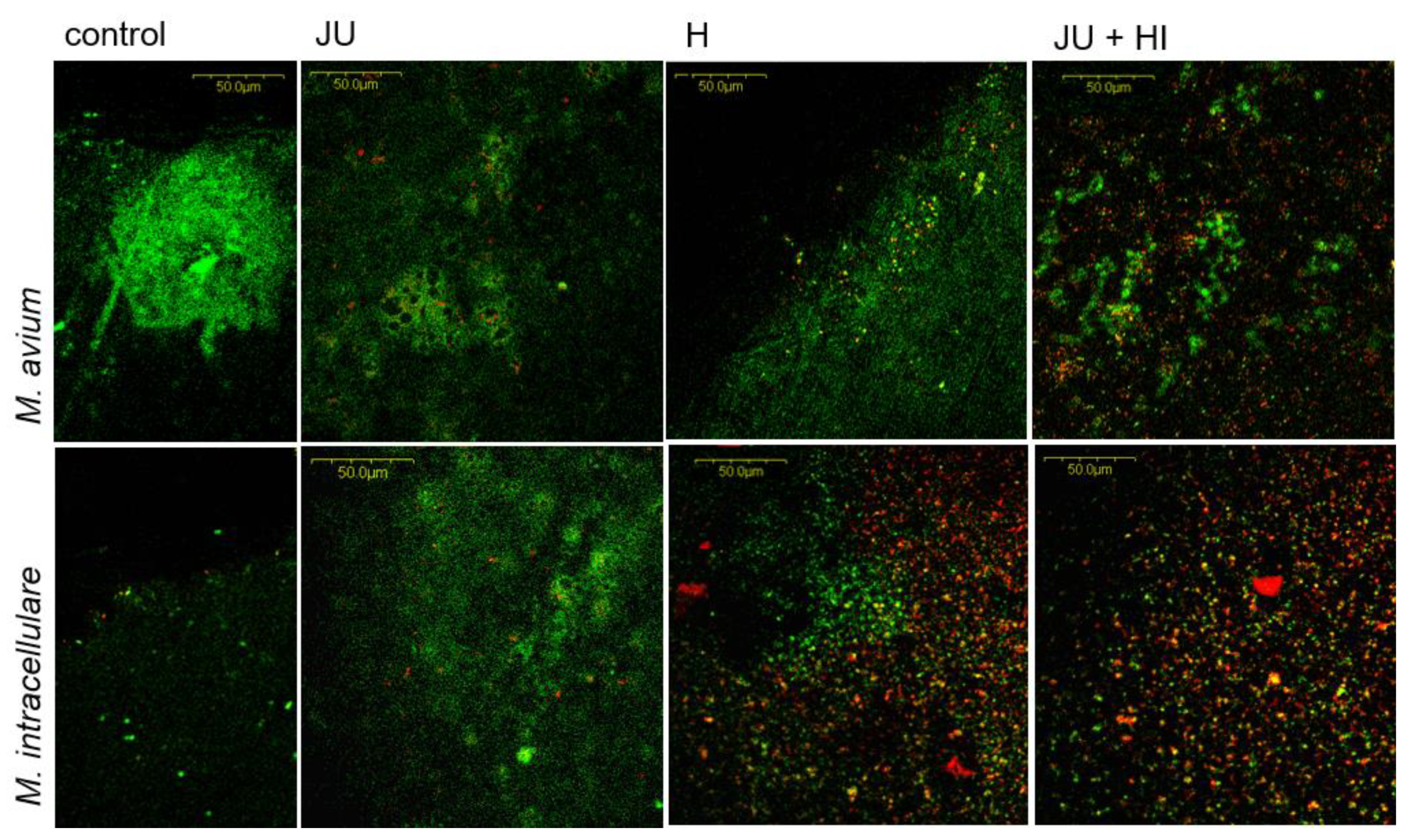 Processes 09 00362 g005