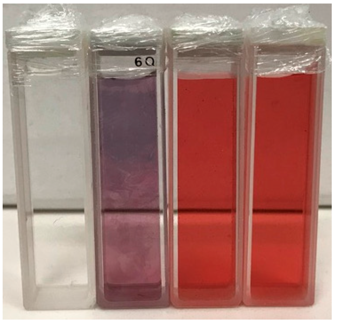 Processes 09 00368 g001