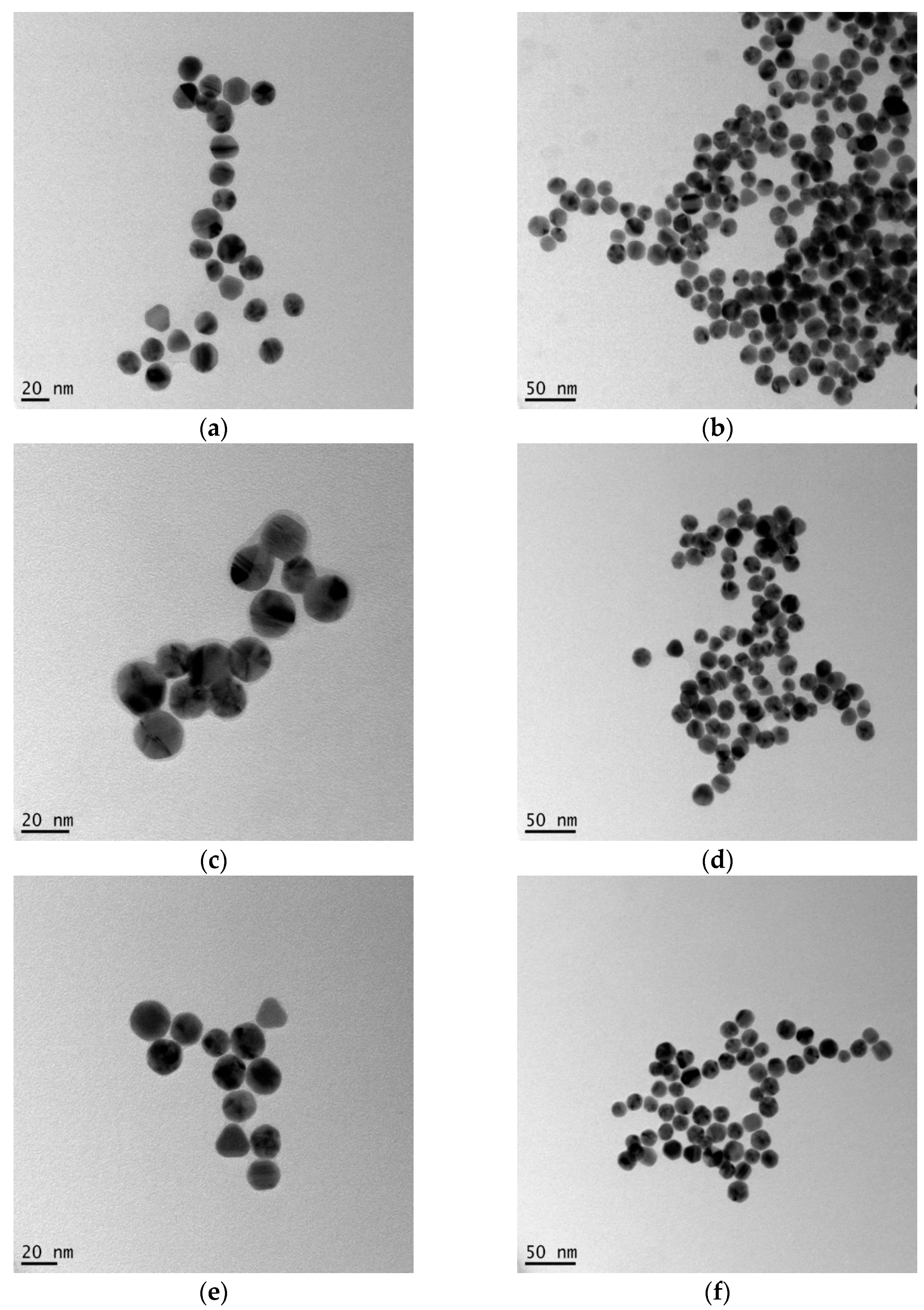 Processes 09 00368 g007