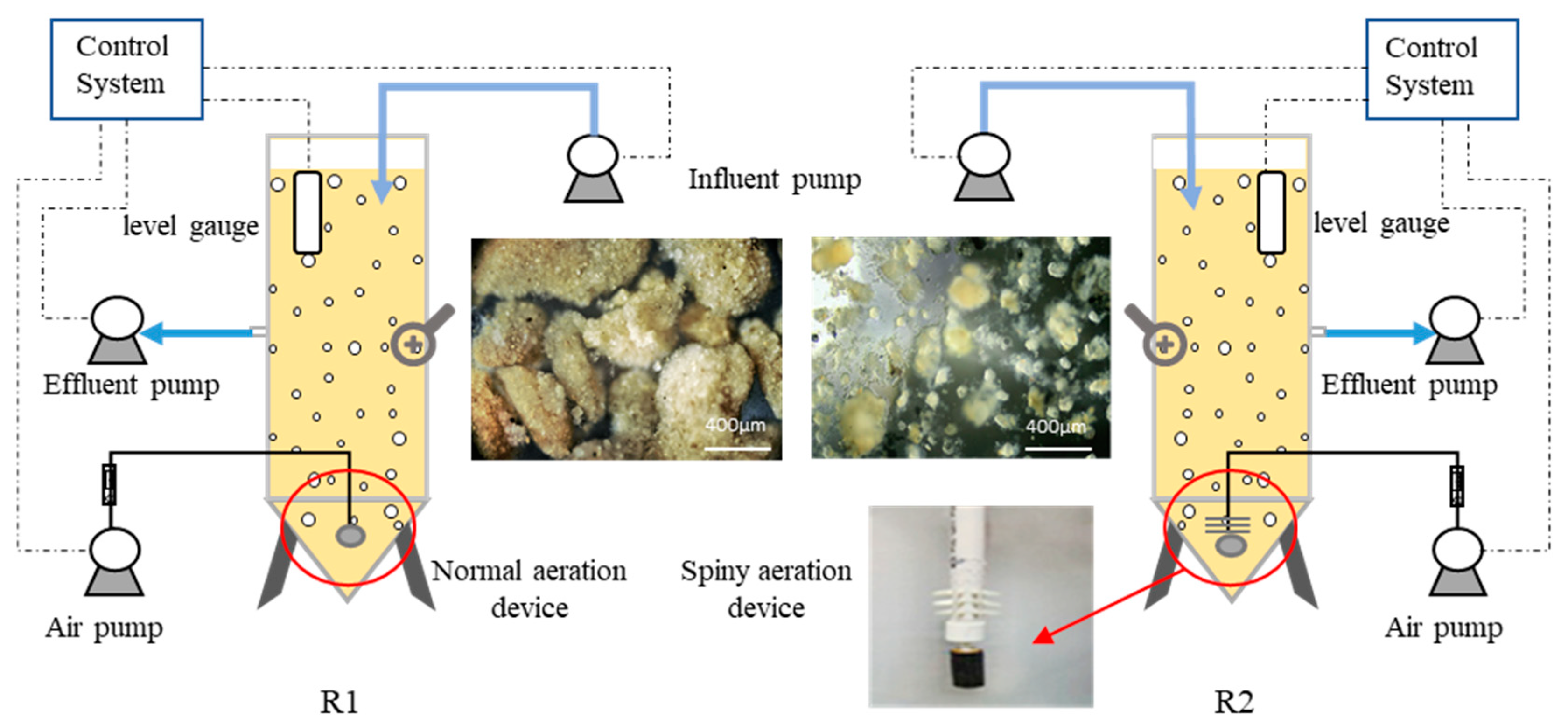 Processes 09 00374 g001