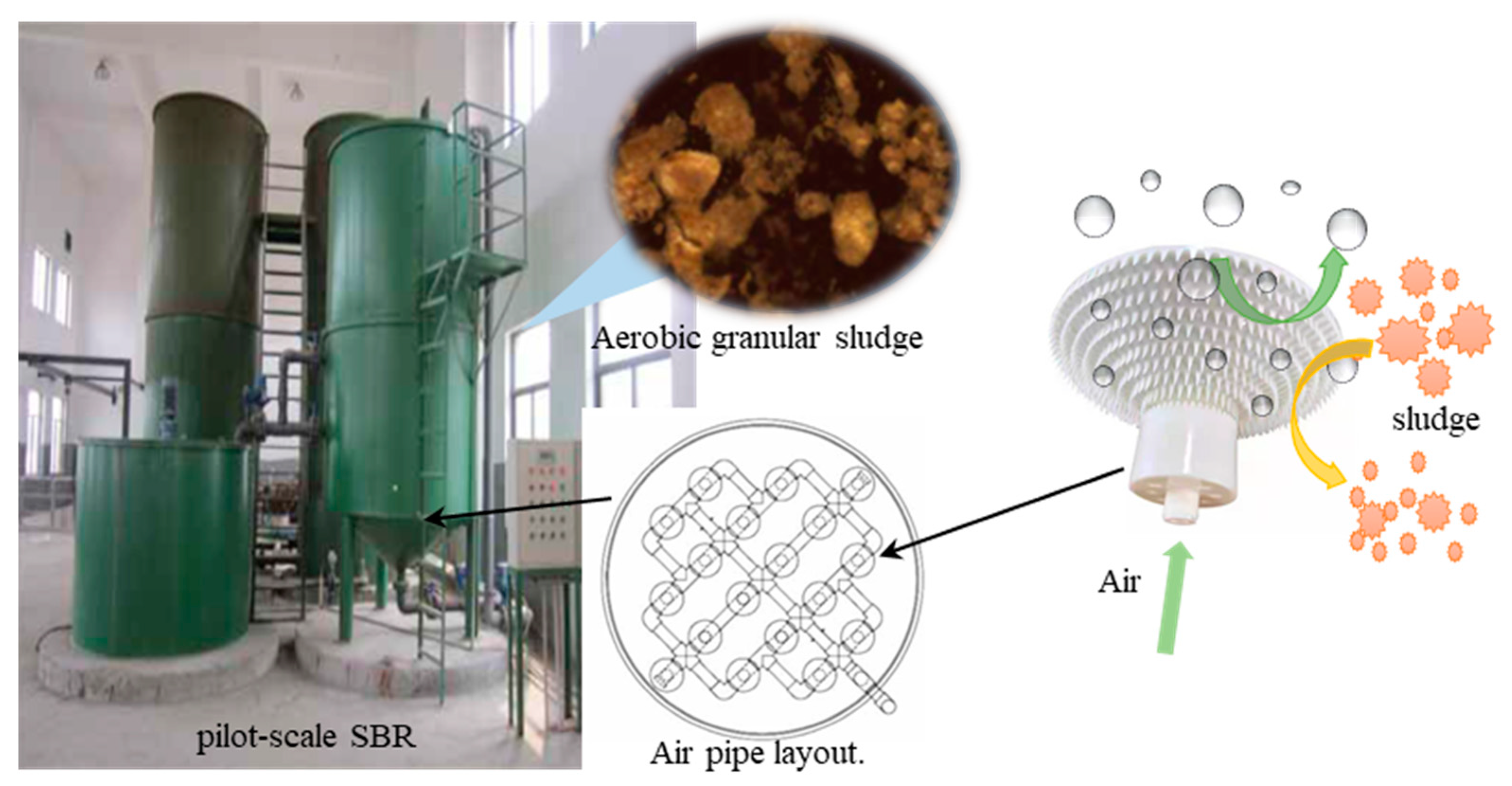 Processes 09 00374 g002
