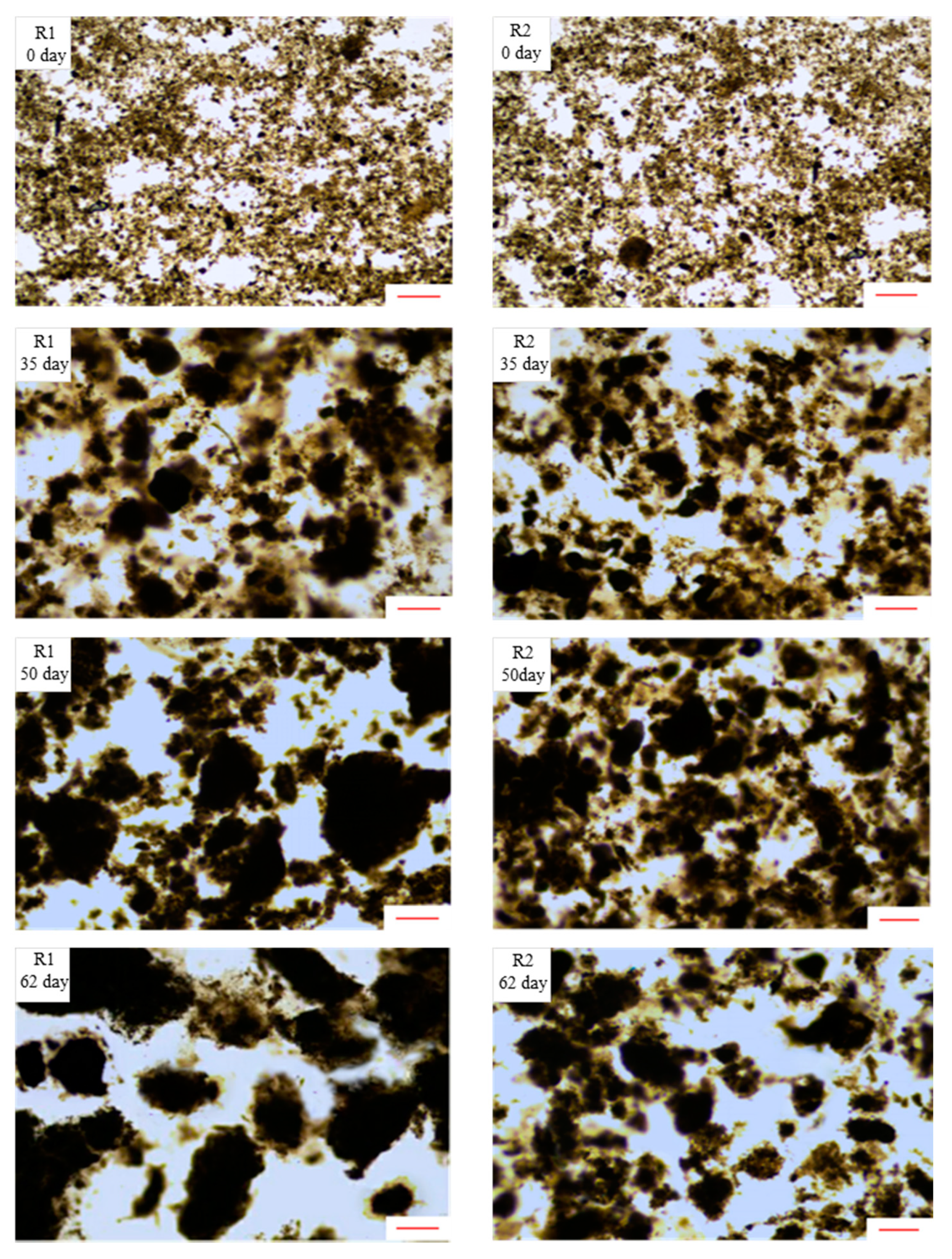 Processes 09 00374 g003