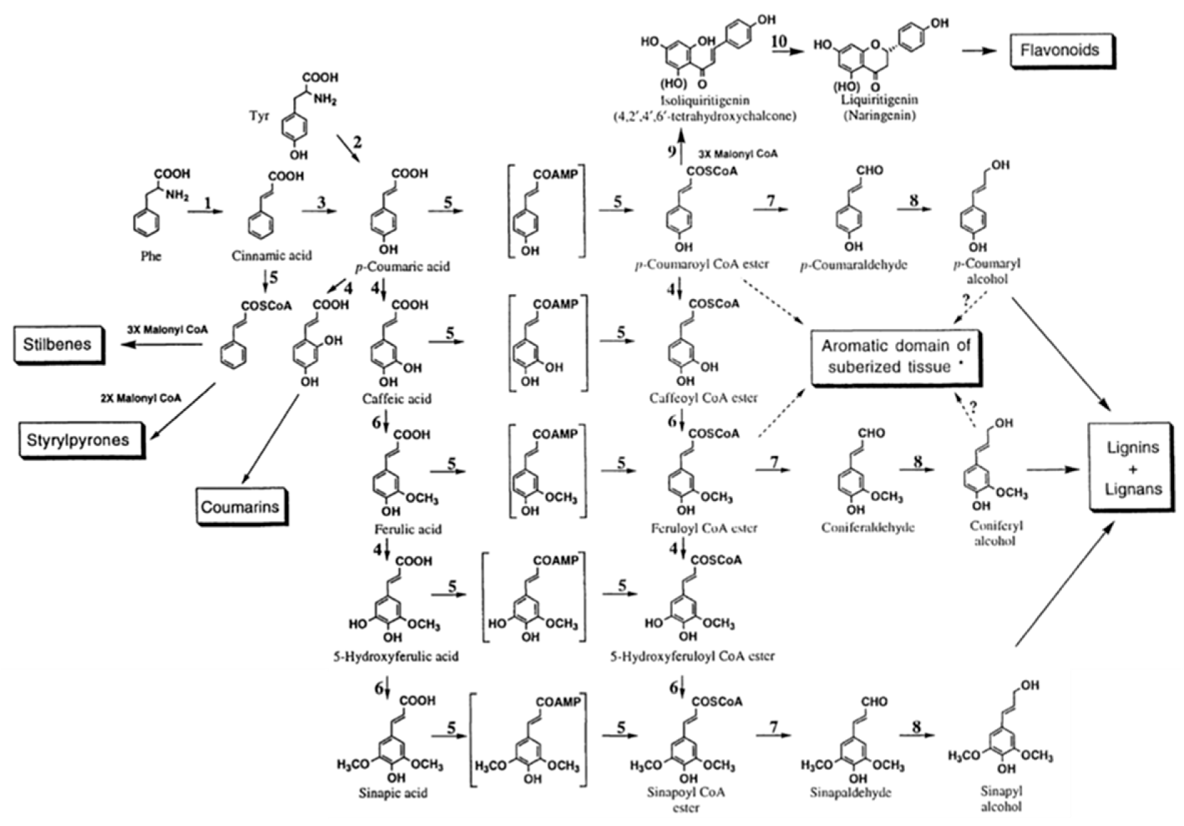Processes 09 00375 g003