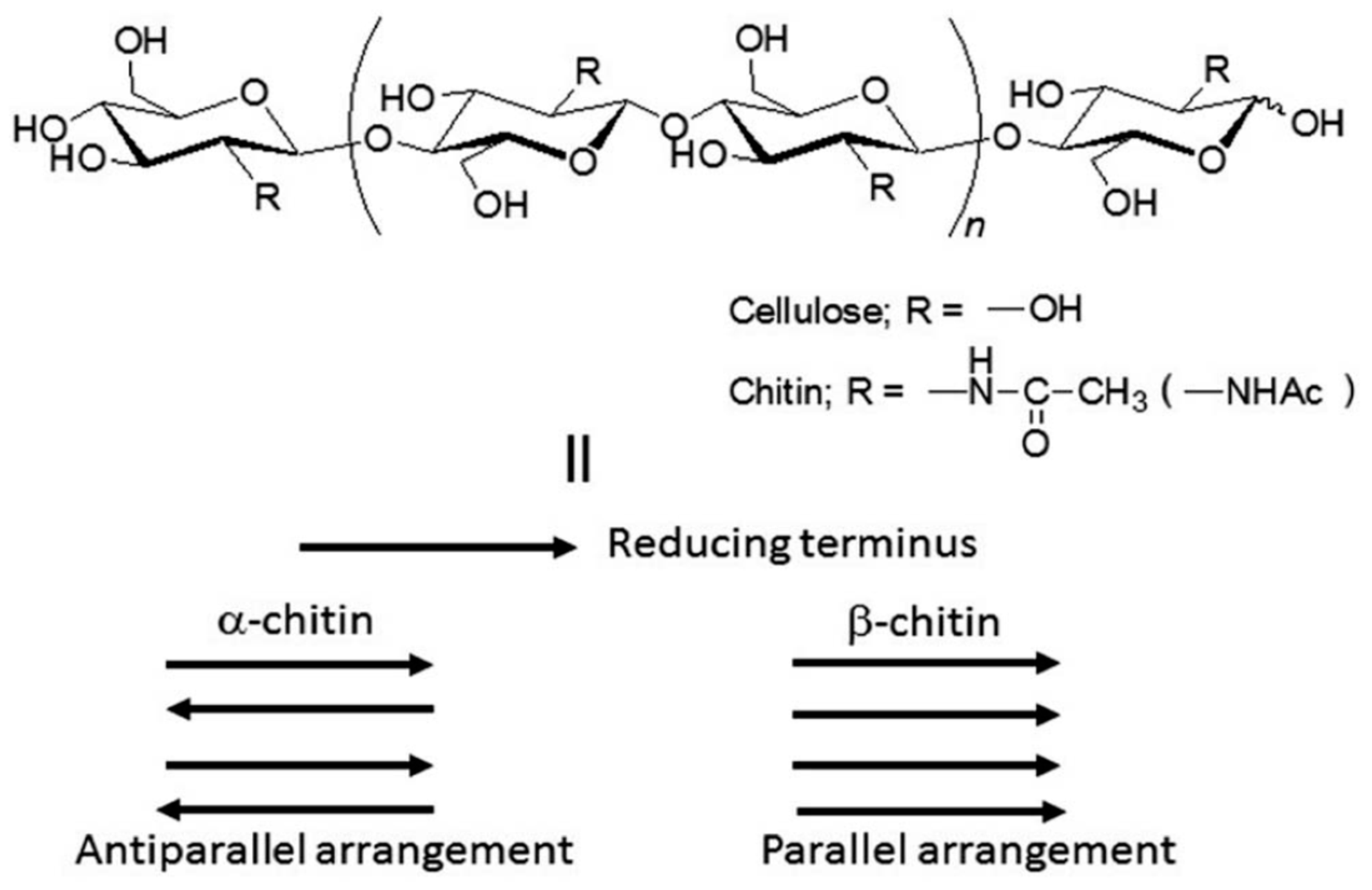 Processes 09 00375 g006