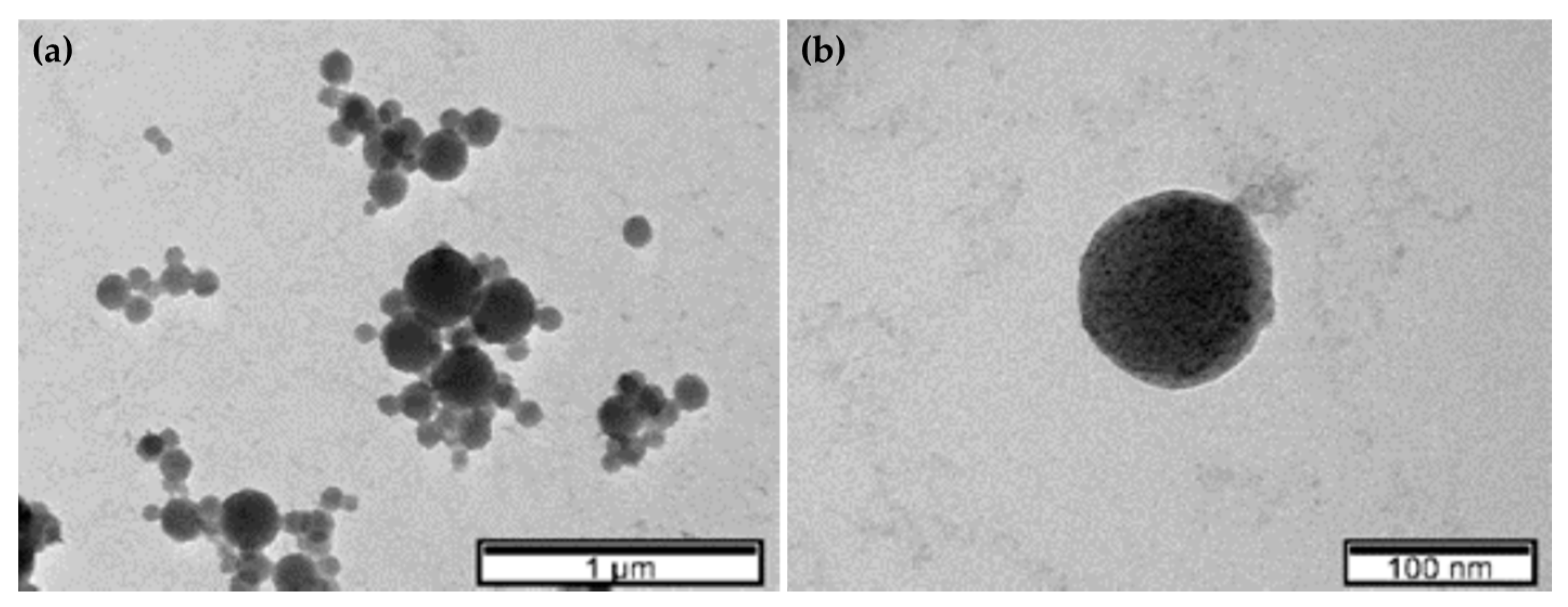 Processes 09 00379 g003