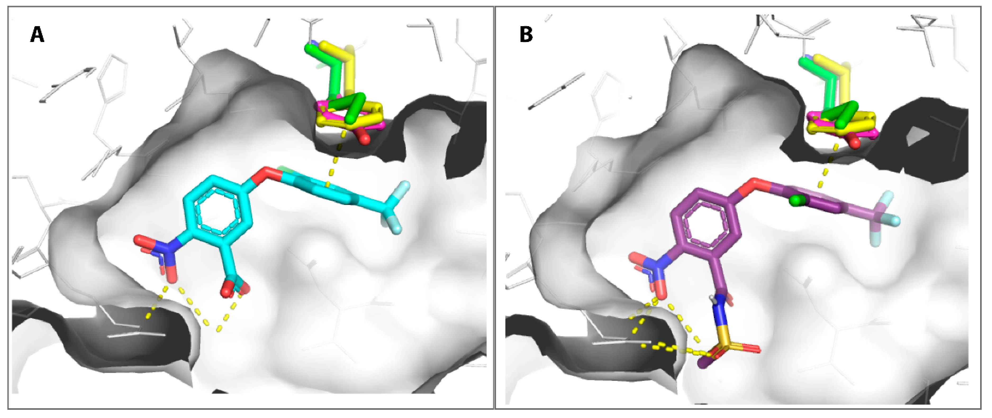 Processes 09 00383 g006