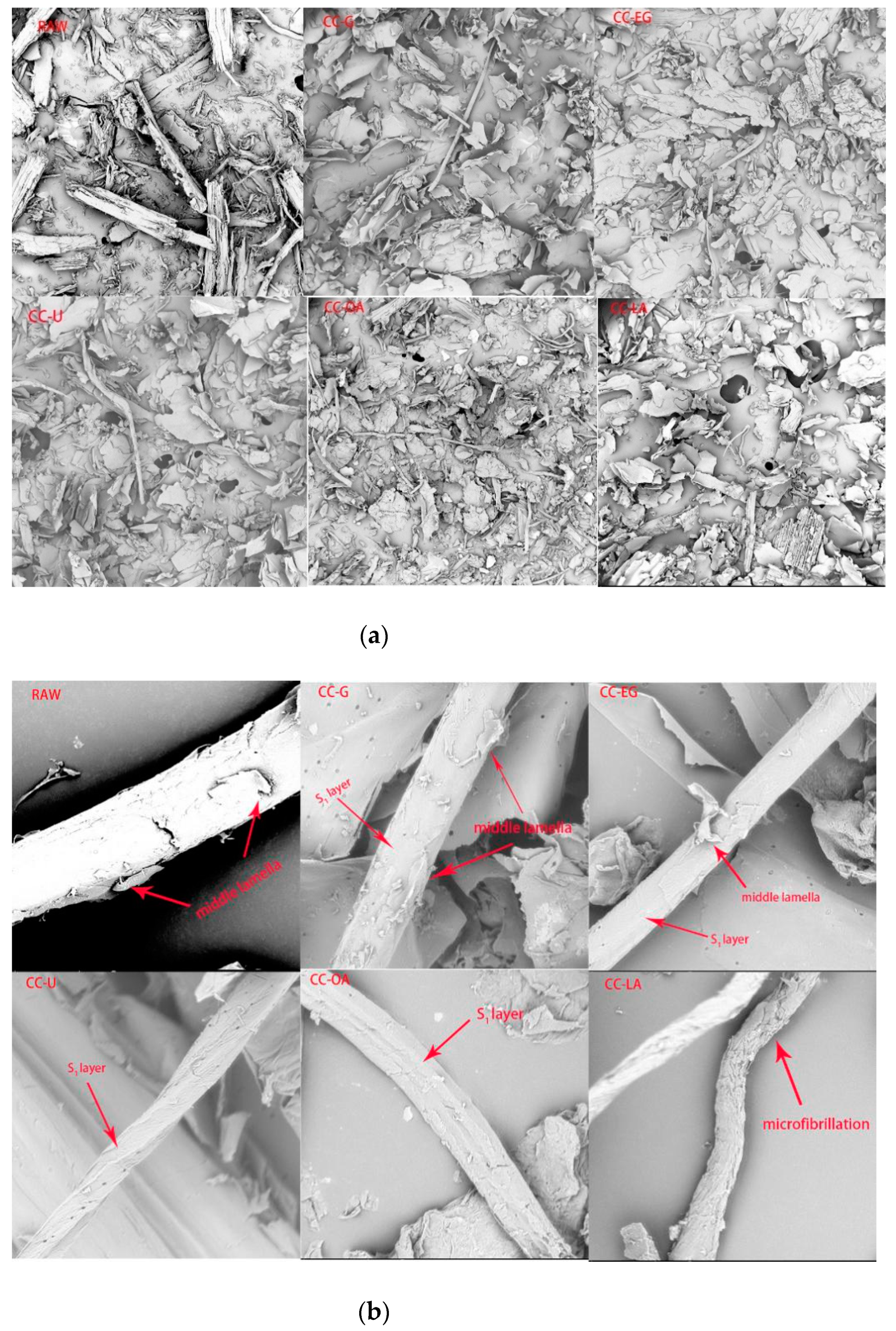Processes 09 00384 g002 Processes 09 00384 g002