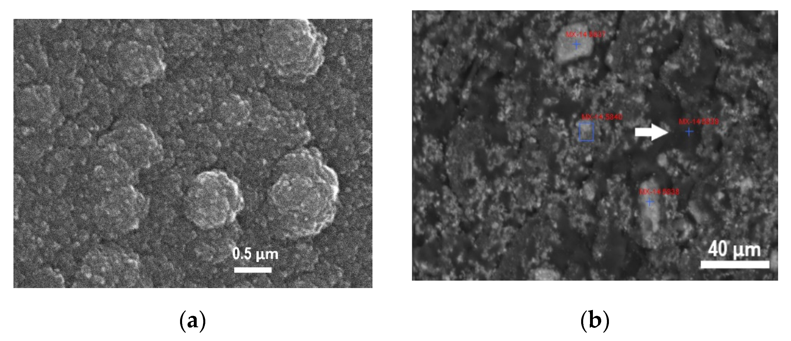 Processes 09 00386 g003a