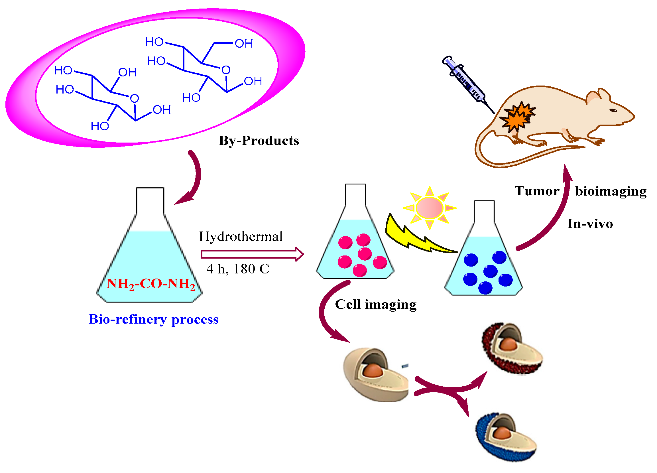 Processes 09 00388 g005