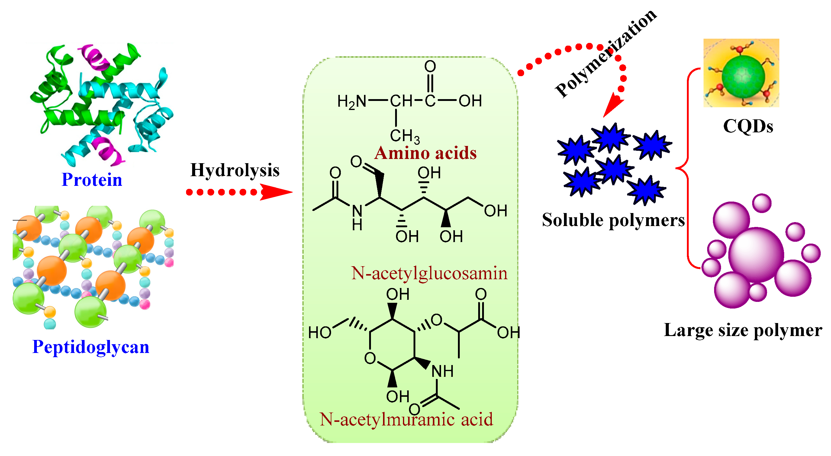 Processes 09 00388 g007