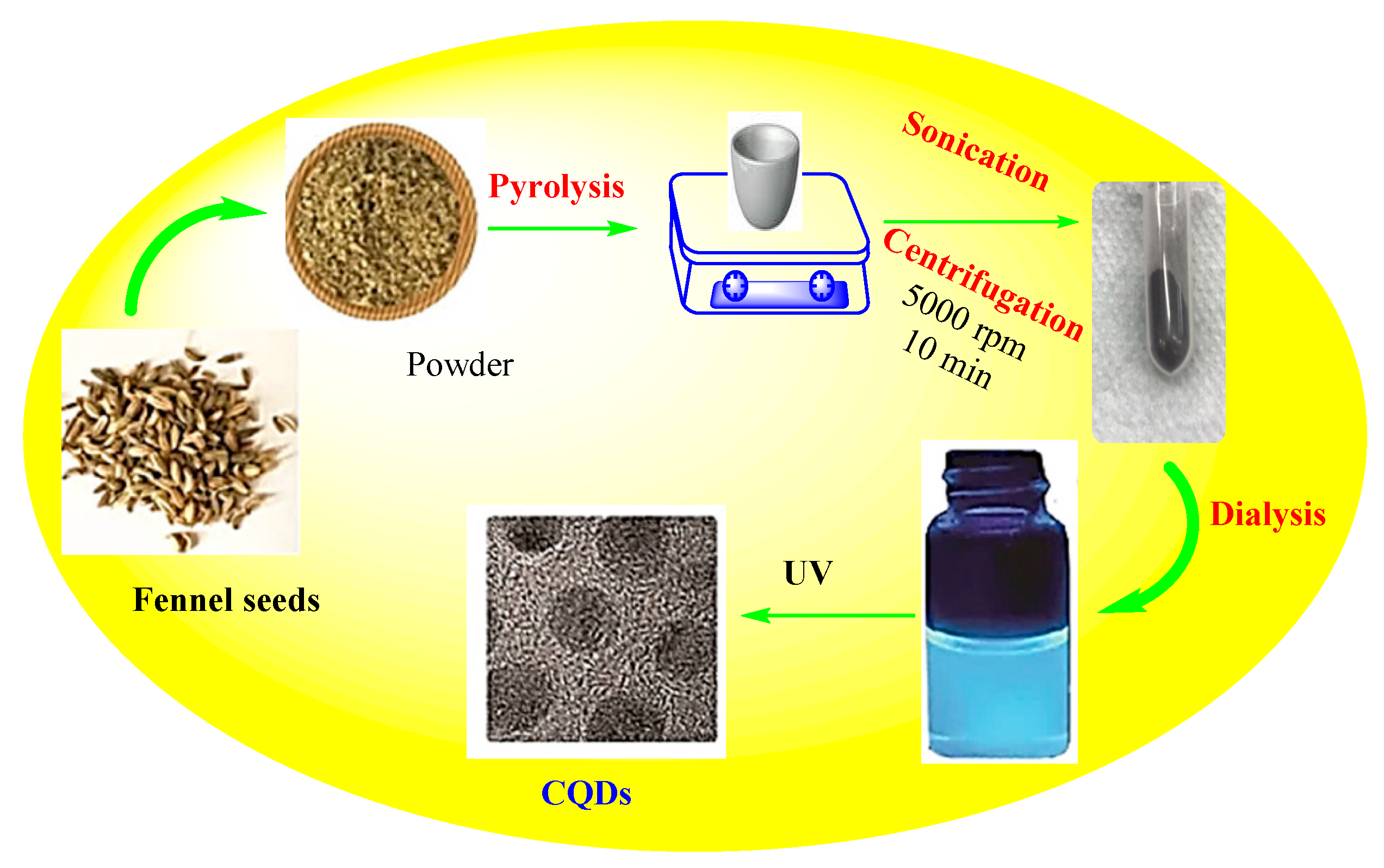 Processes 09 00388 g009