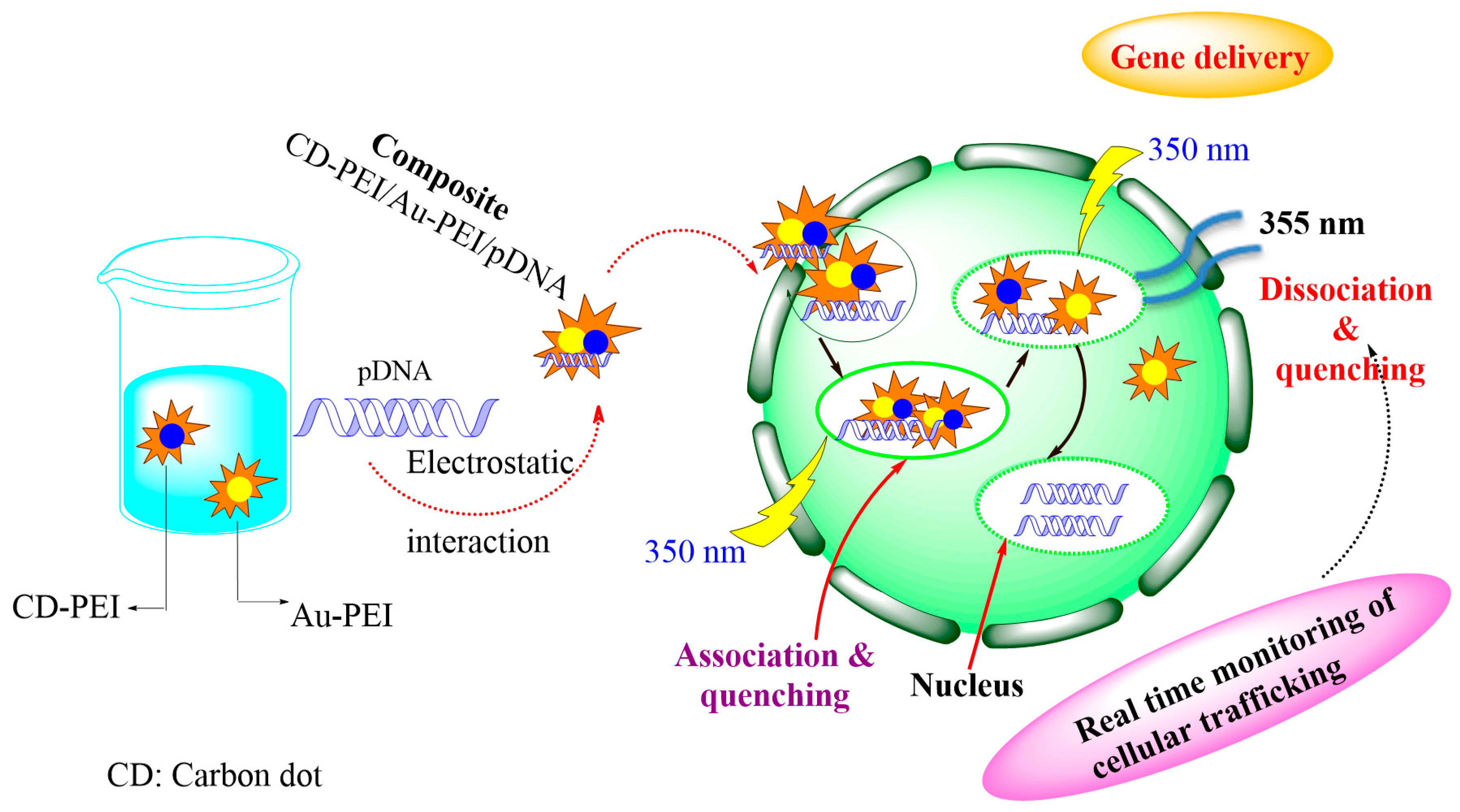 Processes 09 00388 g011